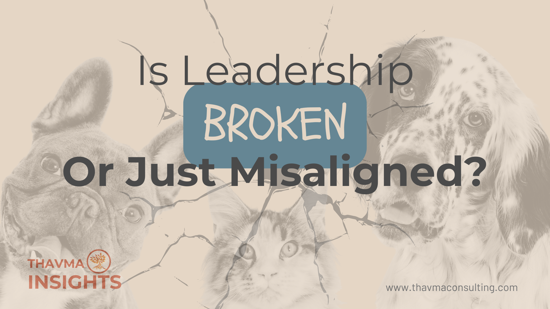 Is Leadership Broken or Just Misaligned?