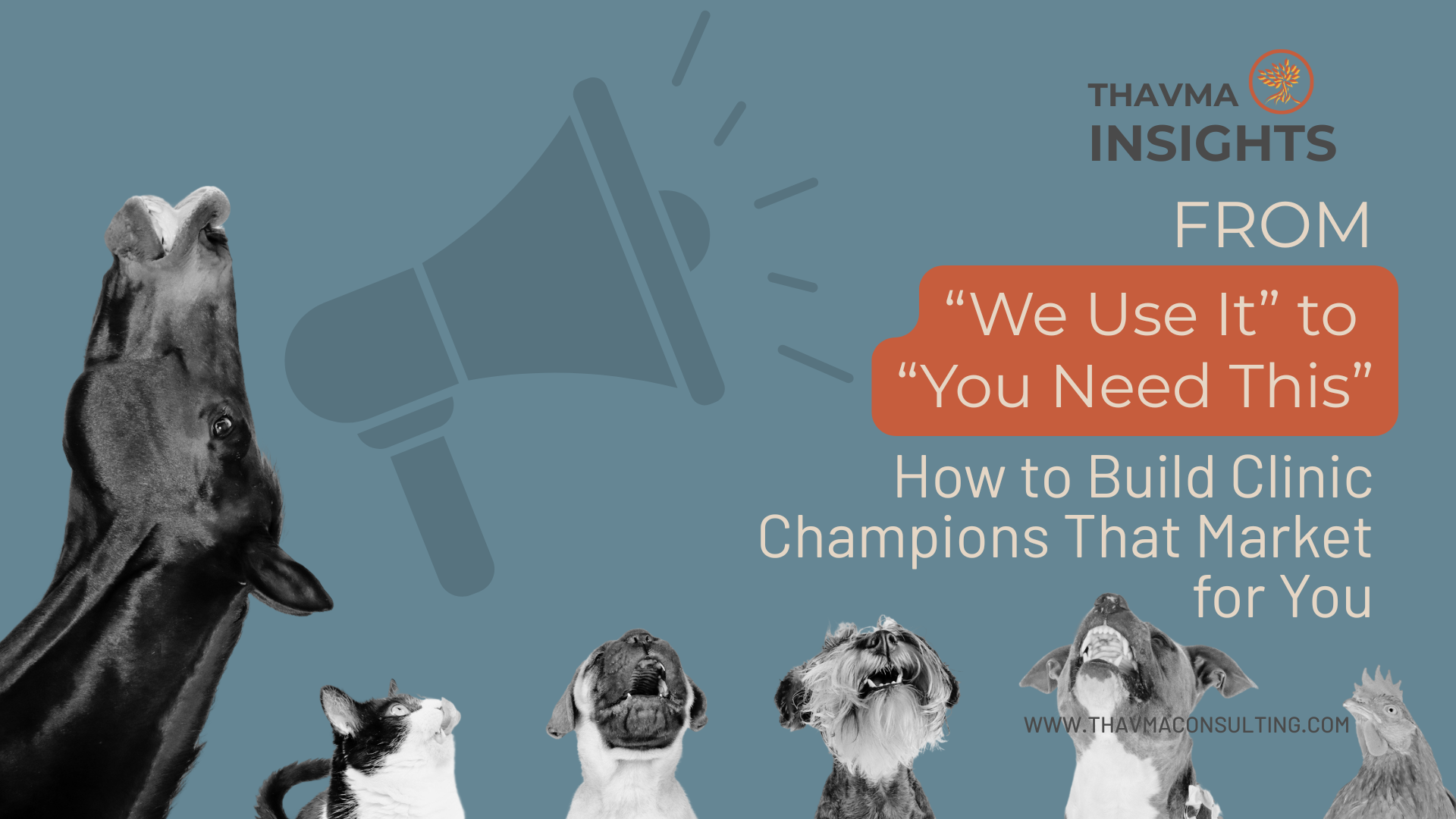 From “We Use It” to “You Need This”: How to Build Clinic Champions That Market for You