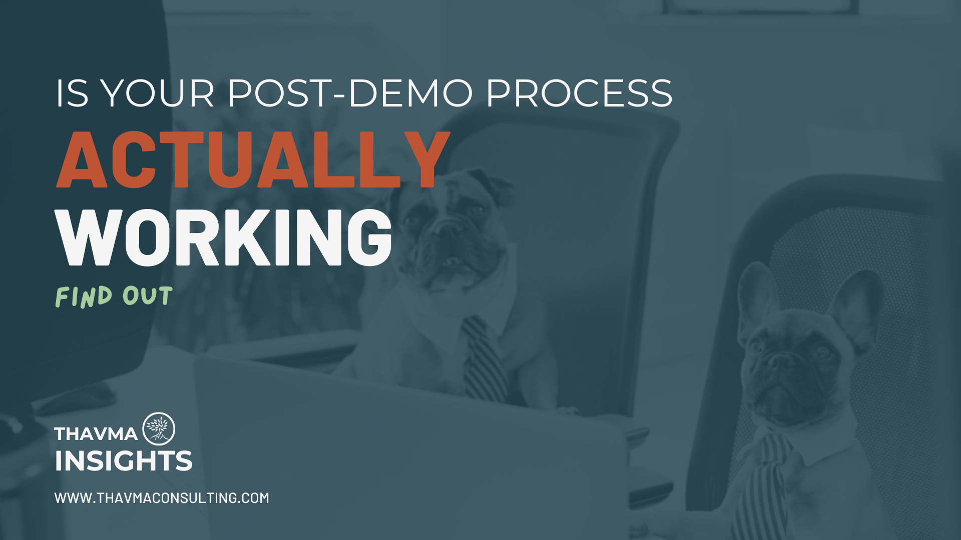 Is Your Post-Demo Process Actually Working? Run This Audit to Find Out.