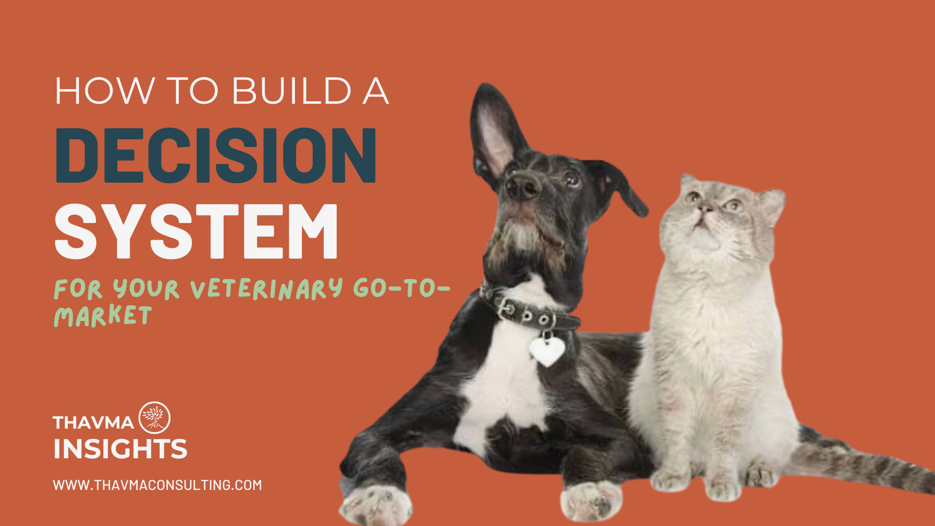 How to Build a Decision System for Your Veterinary Go-to-Market