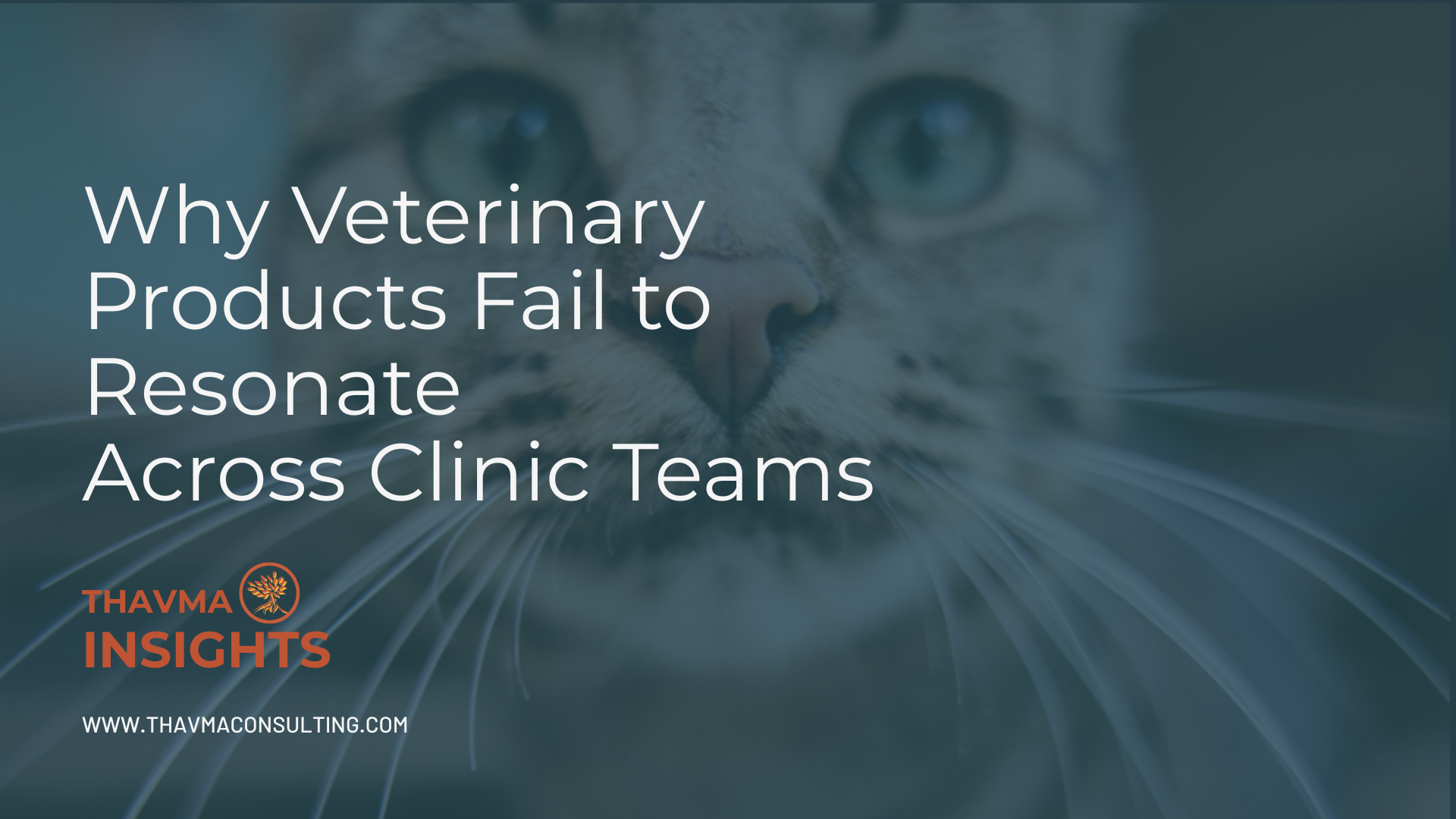 Why Veterinary Products Fail to Resonate Across Clinic Teams