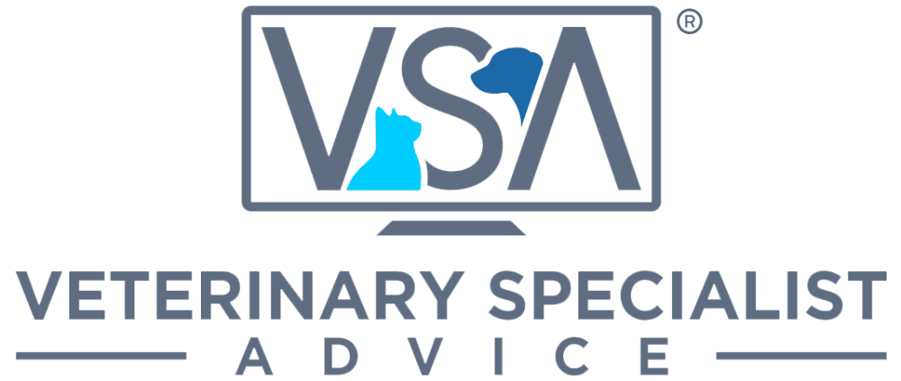 vsa-logo.png