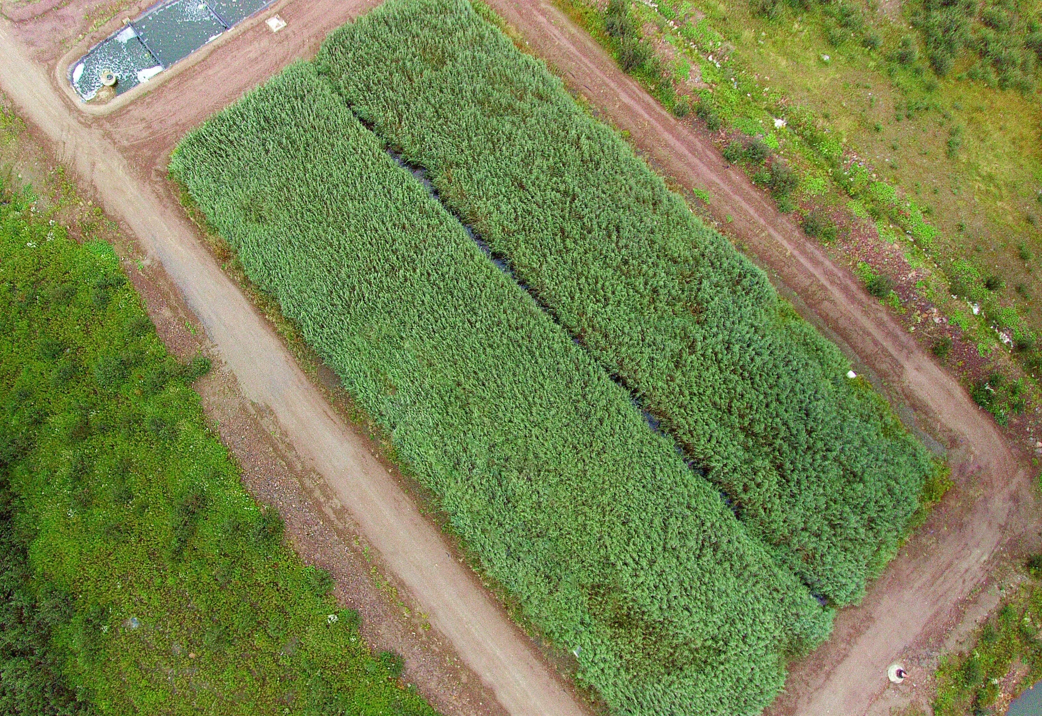Horizontal Flow Wetland