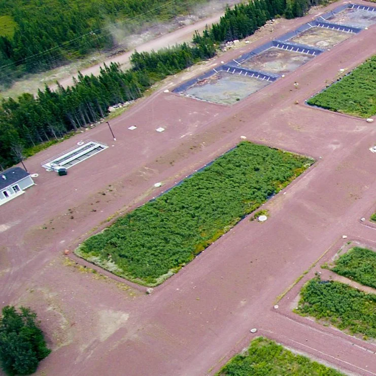 Vertical Flow Wetland