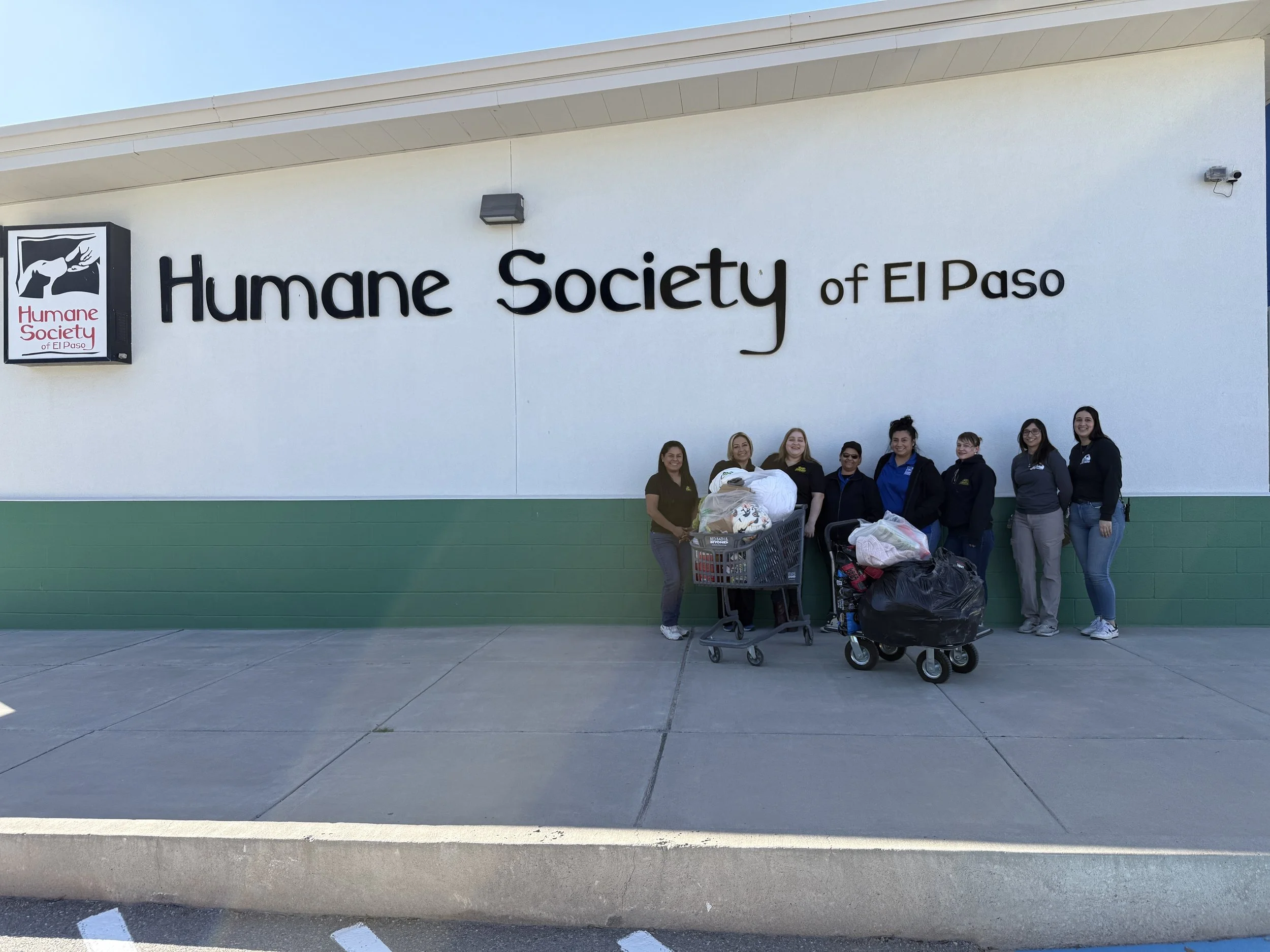 Black Fridays Makes a   Paw-sitive difference