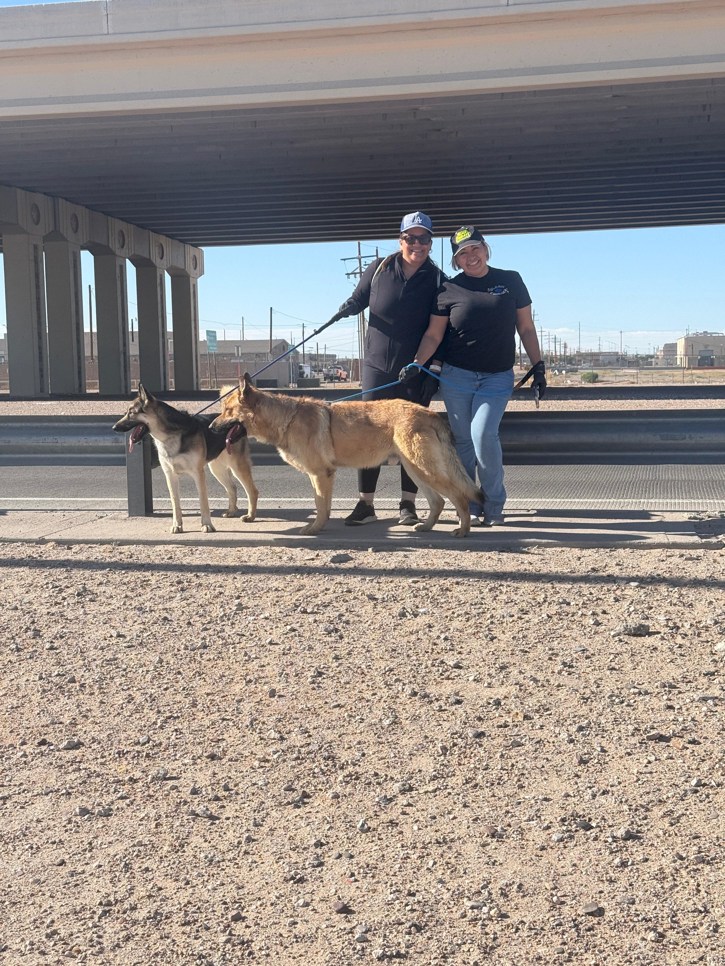 Making Tails Wag, One Walk at a Time&nbsp;