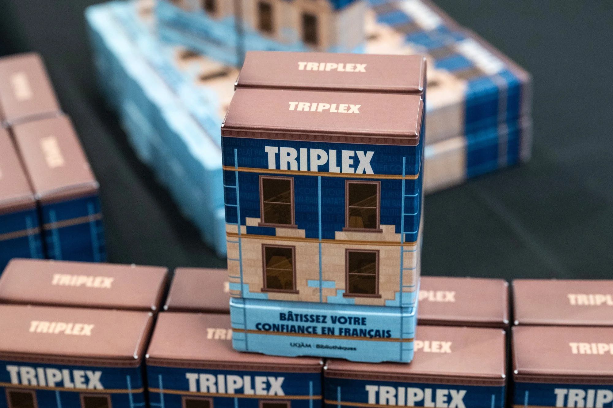Triplex | A Game for Inclusive Language Learning
