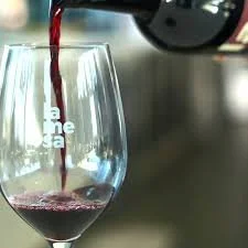 Amanda Beltz &amp; Dr Josh Live