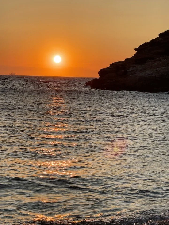 Goodbye Andros island 🏝️ 👋 
Beautiful rugged & peaceful place with great hiking, stunning quiet beaches. 
Varied plants, fishes, birds, insects and wildlife. We saw Eleonora’s falcon!
We didn’t see any more hungry cats - there ar