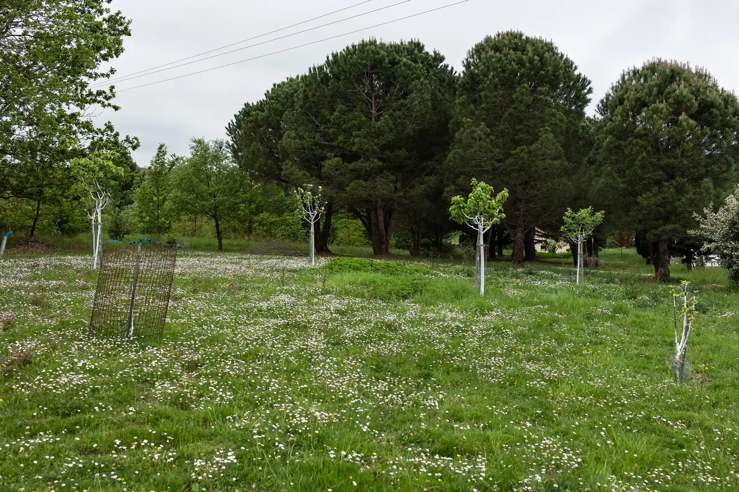 Reportage_entreprise_photographe_toulouse_apiculteur (1).webp