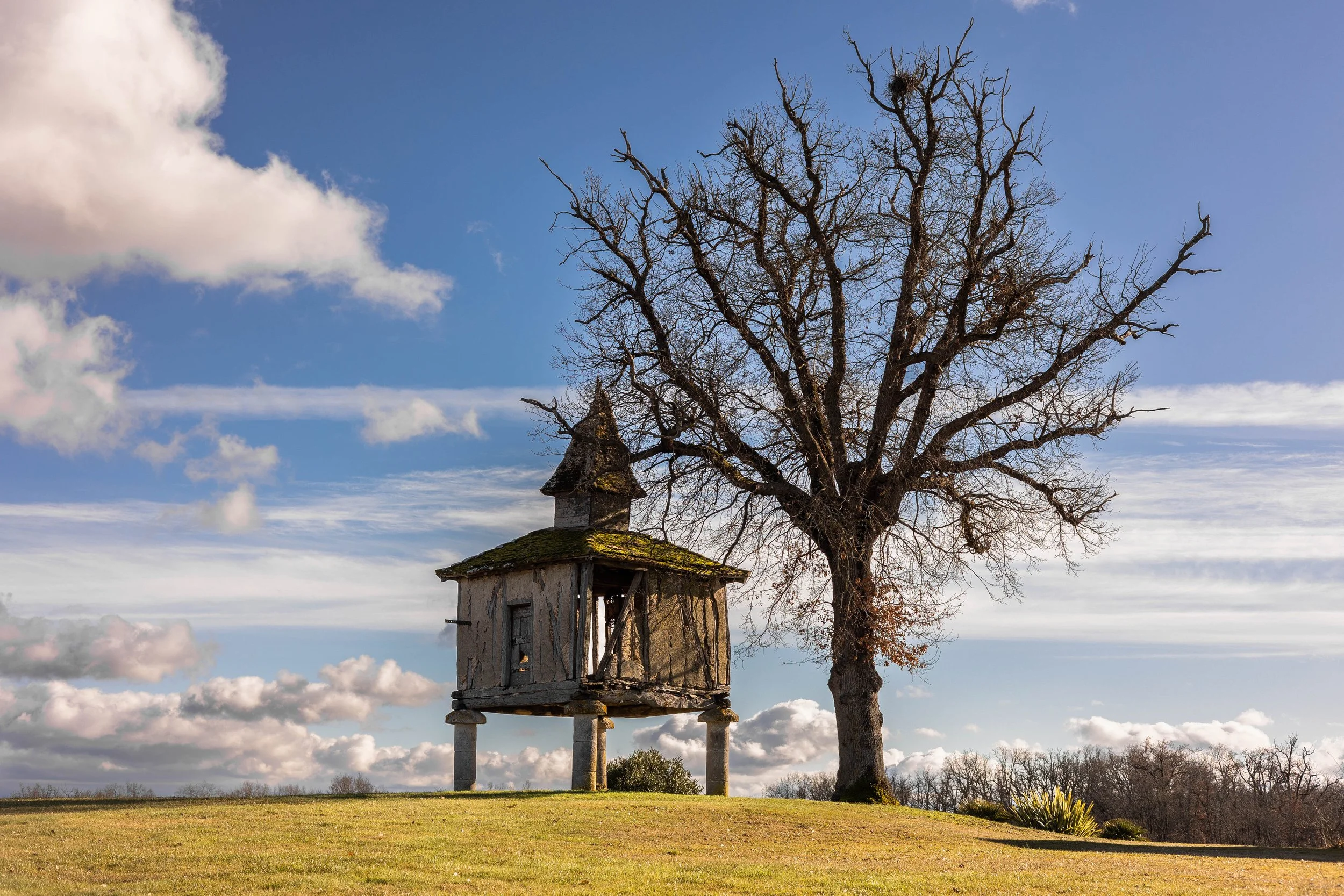 Commande d'un Pigeonnier, propriétaire dans le Tarn et Garonne