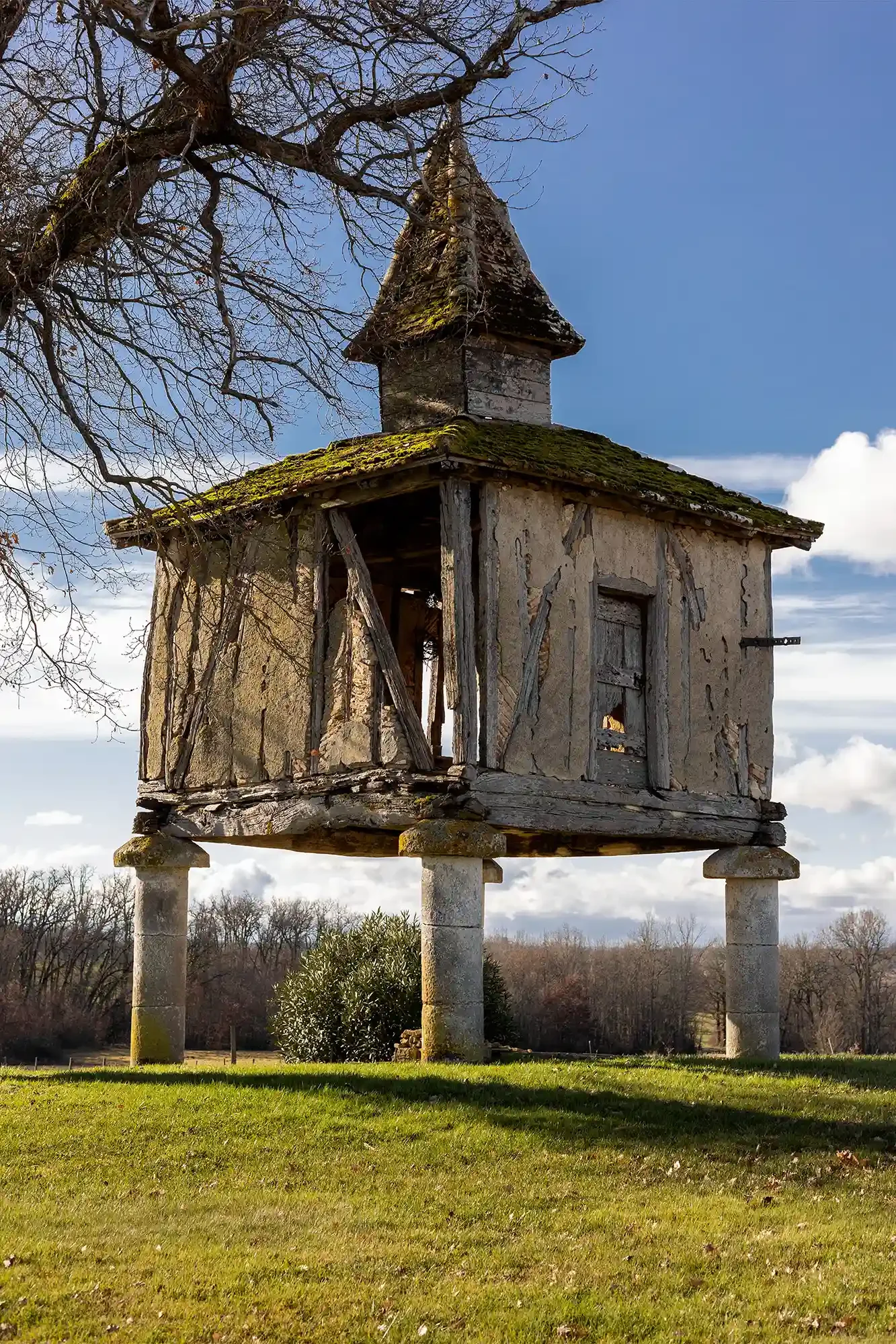 Commande d'un Pigeonnier, propriétaire dans le Tarn et Garonne