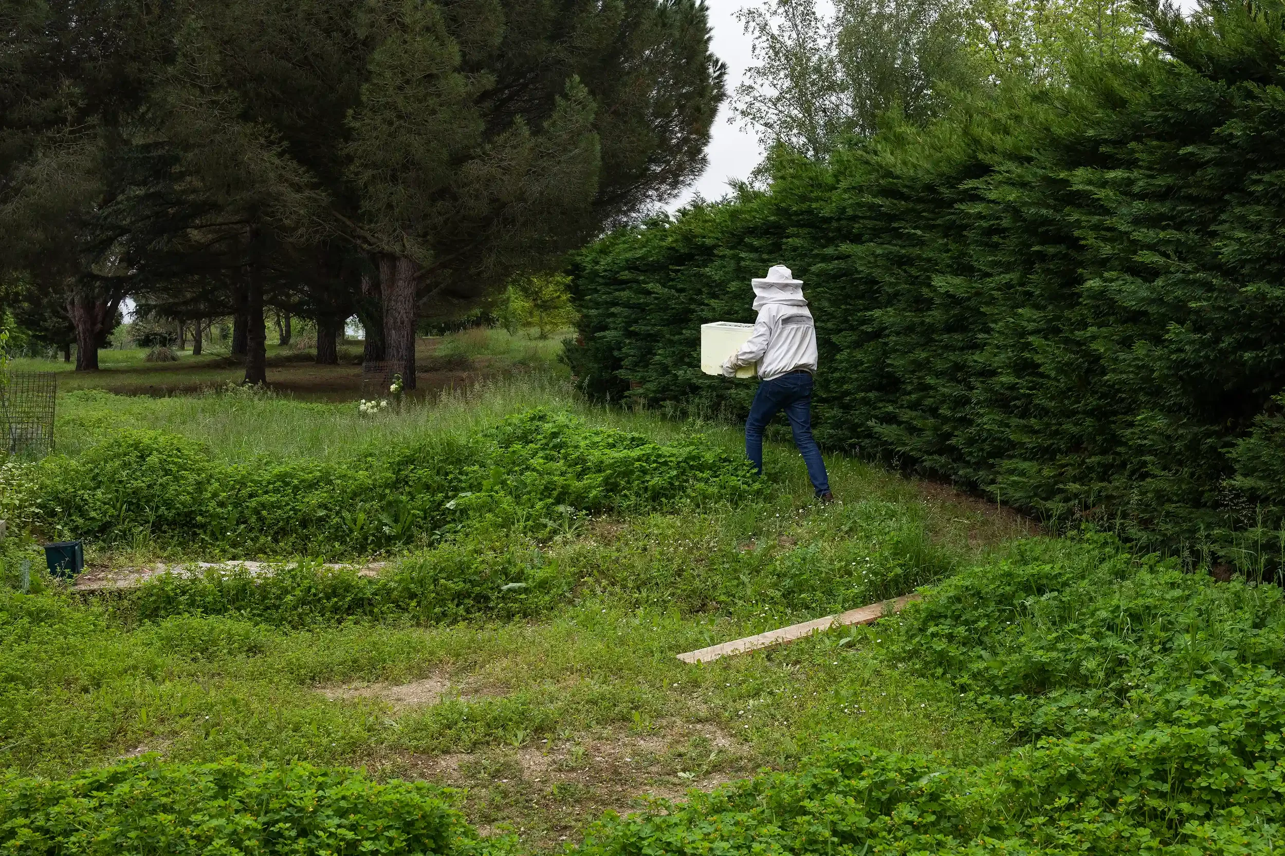 Reportage_entreprise_photographe_toulouse_apiculteur (3).webp