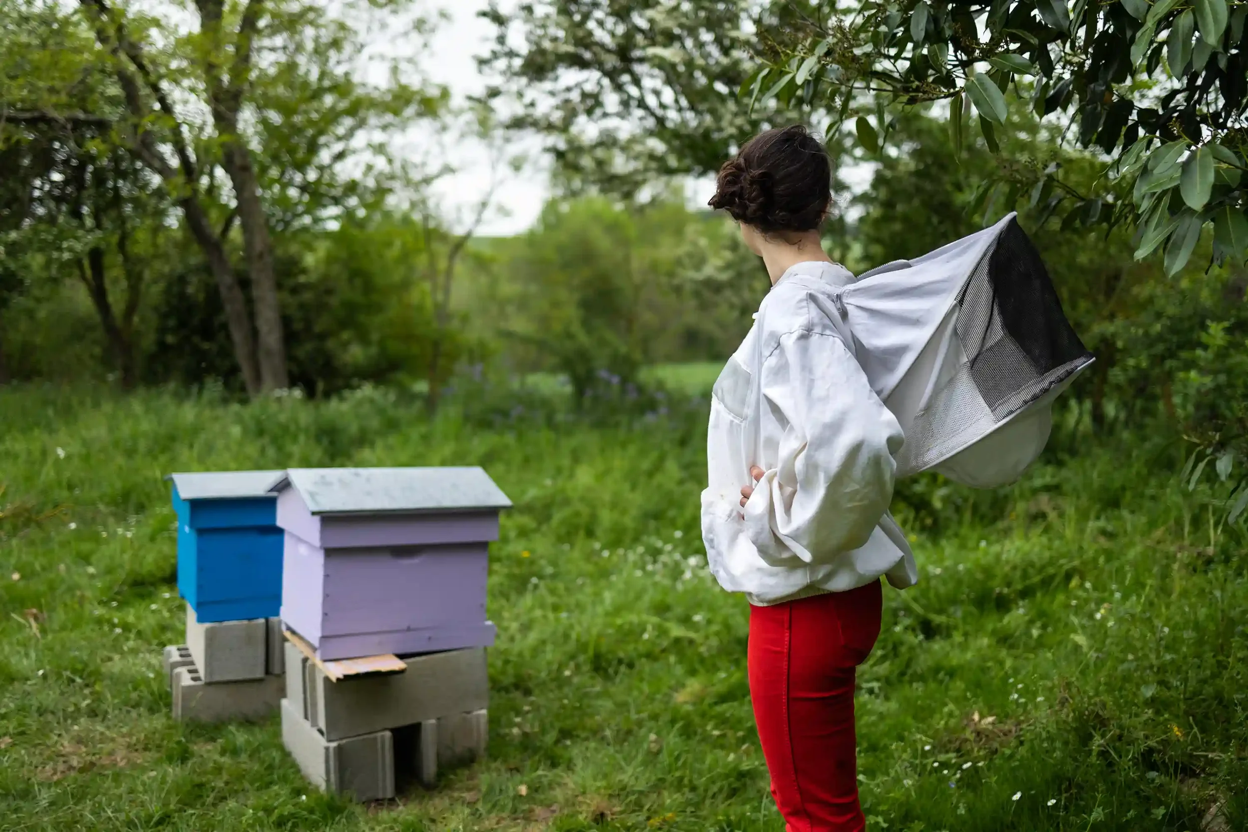 Reportage_entreprise_photographe_toulouse_apiculteur (12).webp