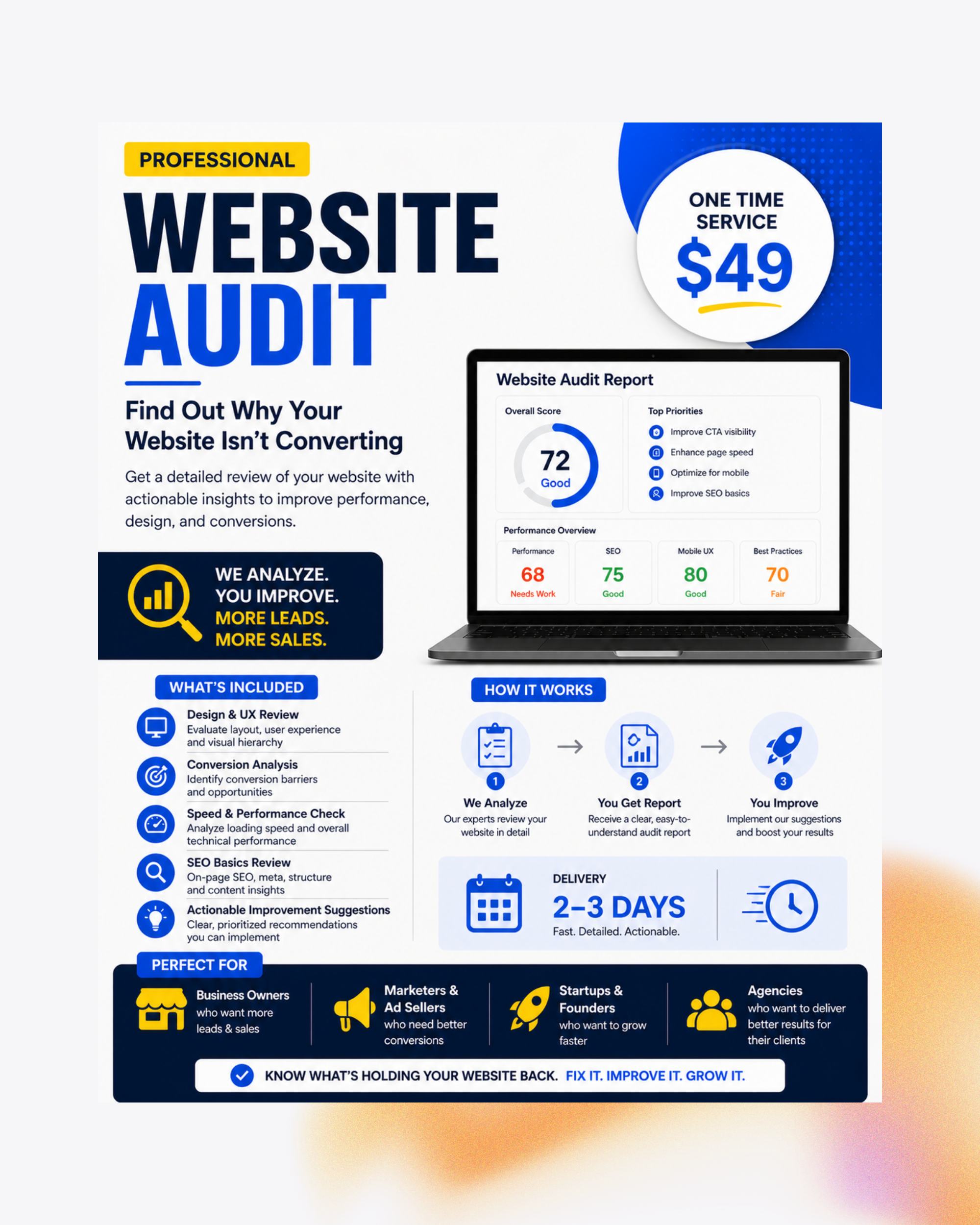 Professional Website Audit