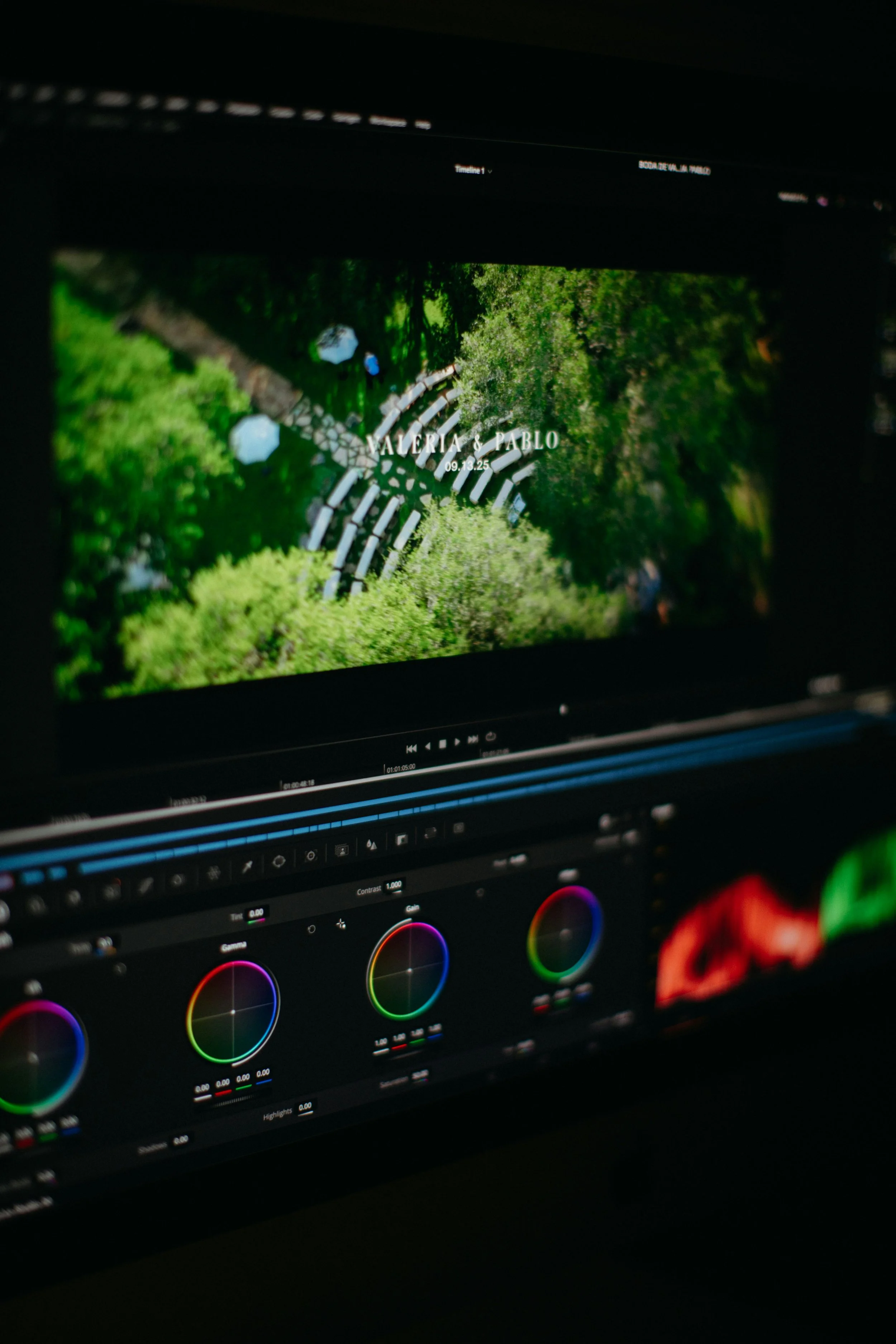 Photo of a computer screen displaying video editing software with a video of a green outdoor scene, and color grading tools visible below.