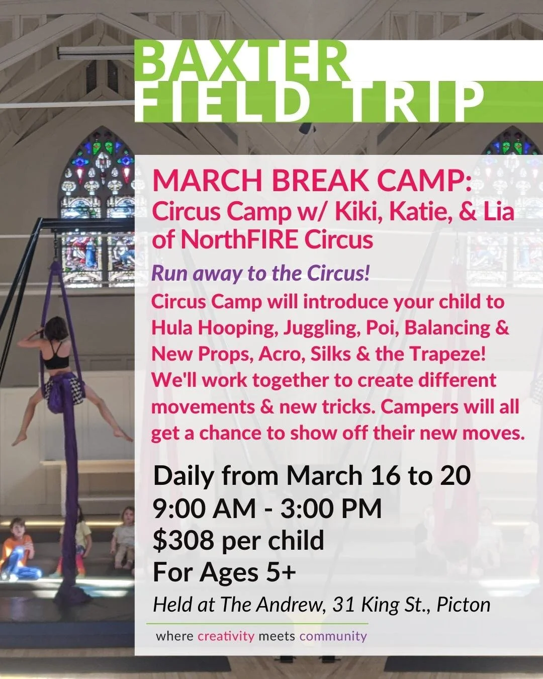 Baxter Arts Centre's March Break Aerial Camp with NorthFIRE Circus.