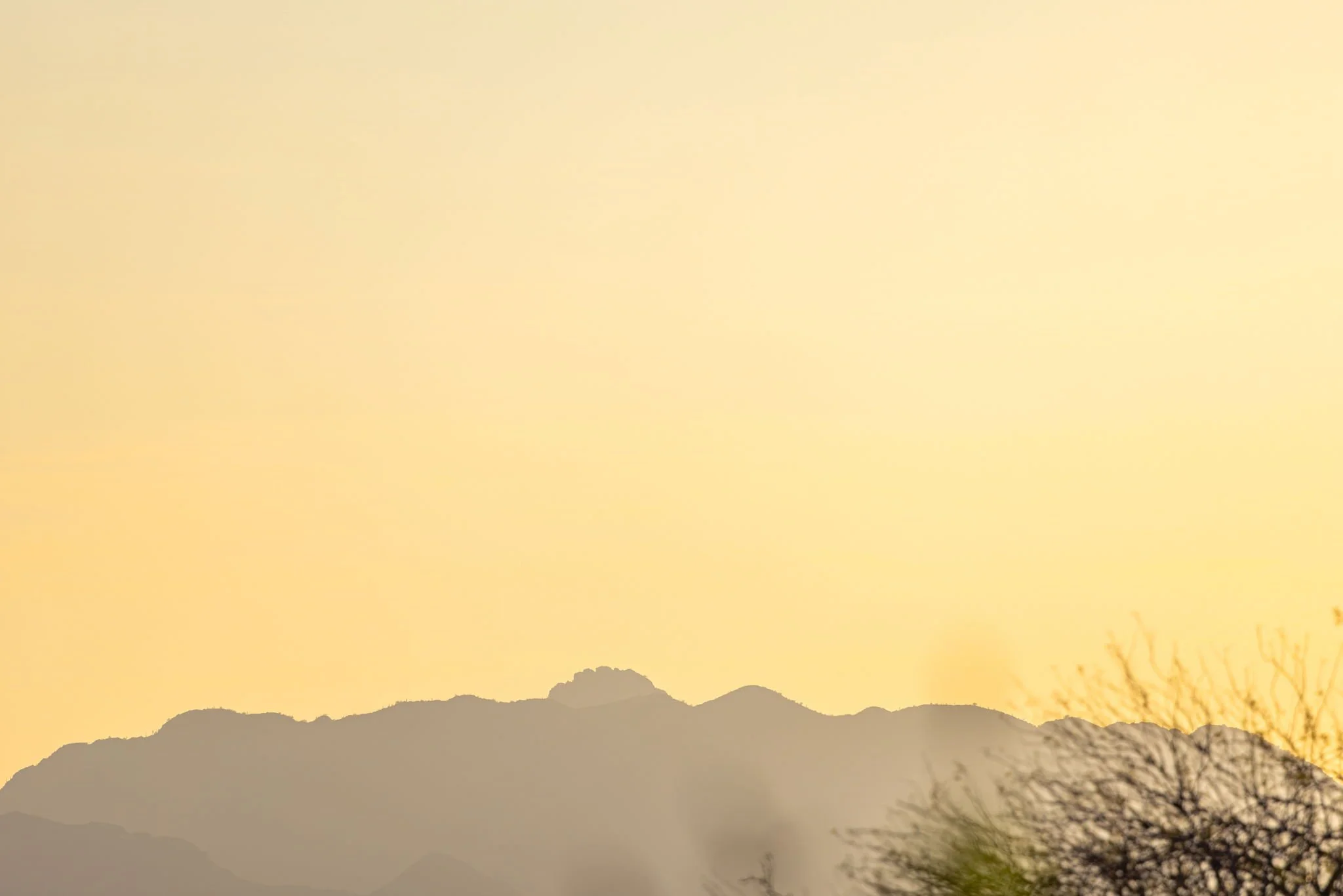 Silhouetted mountain range at sunset with bare tree branches in the foreground.