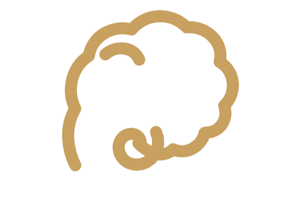 Gold line cloud-like cortex symbolizing the brain