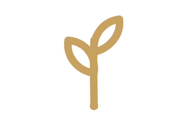 Gold line drawing of a sprout, symbolizing growth, ideas or thinking.
