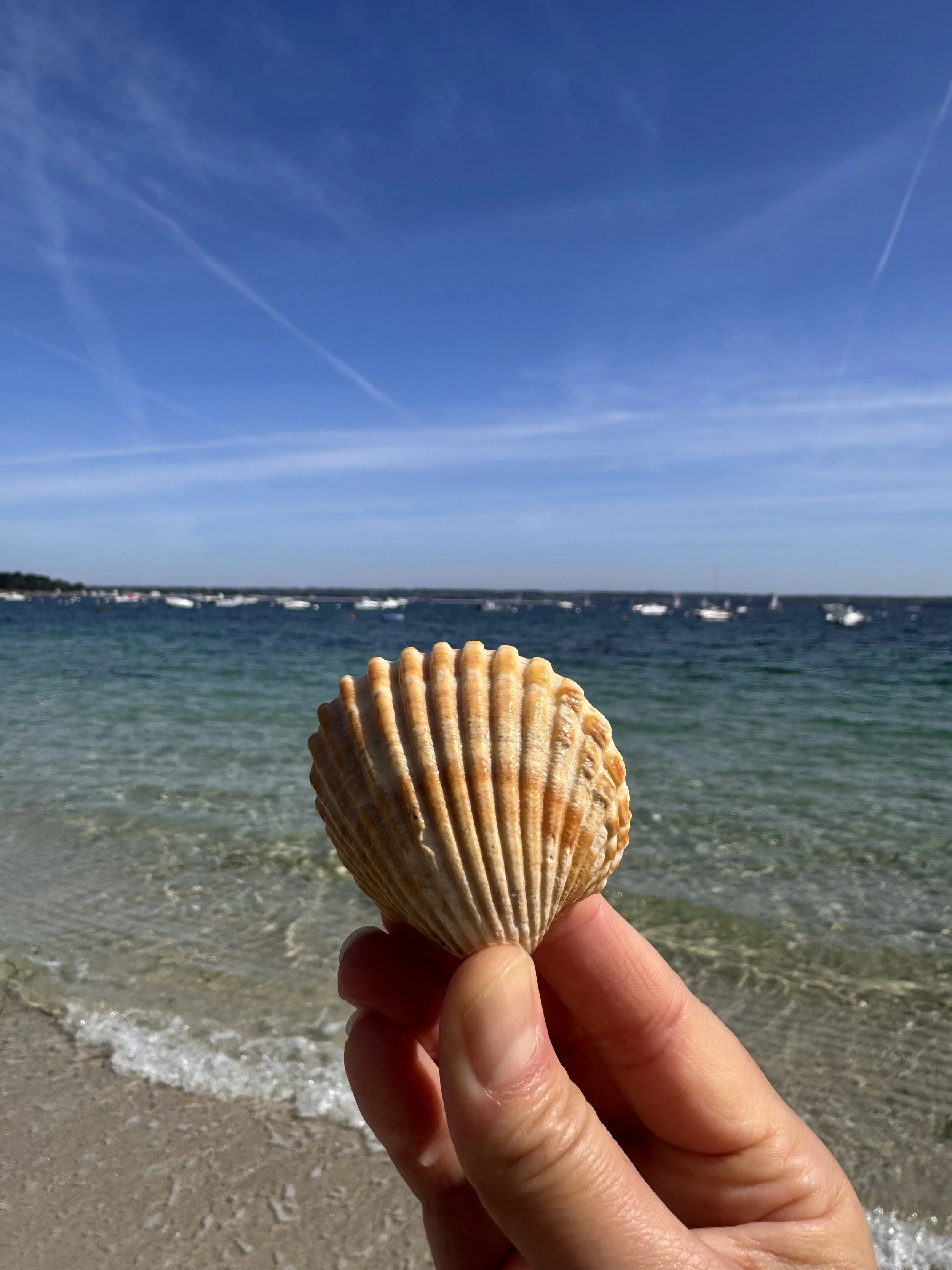 textures-du-littoral-breton.jpeg