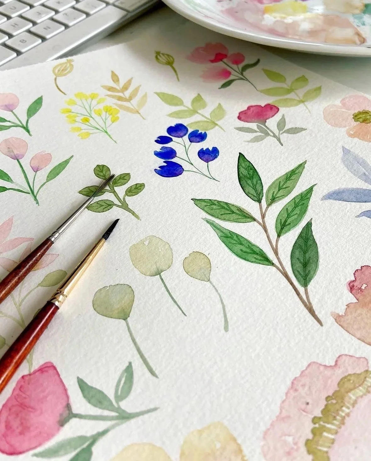 Première aquarelle botanique