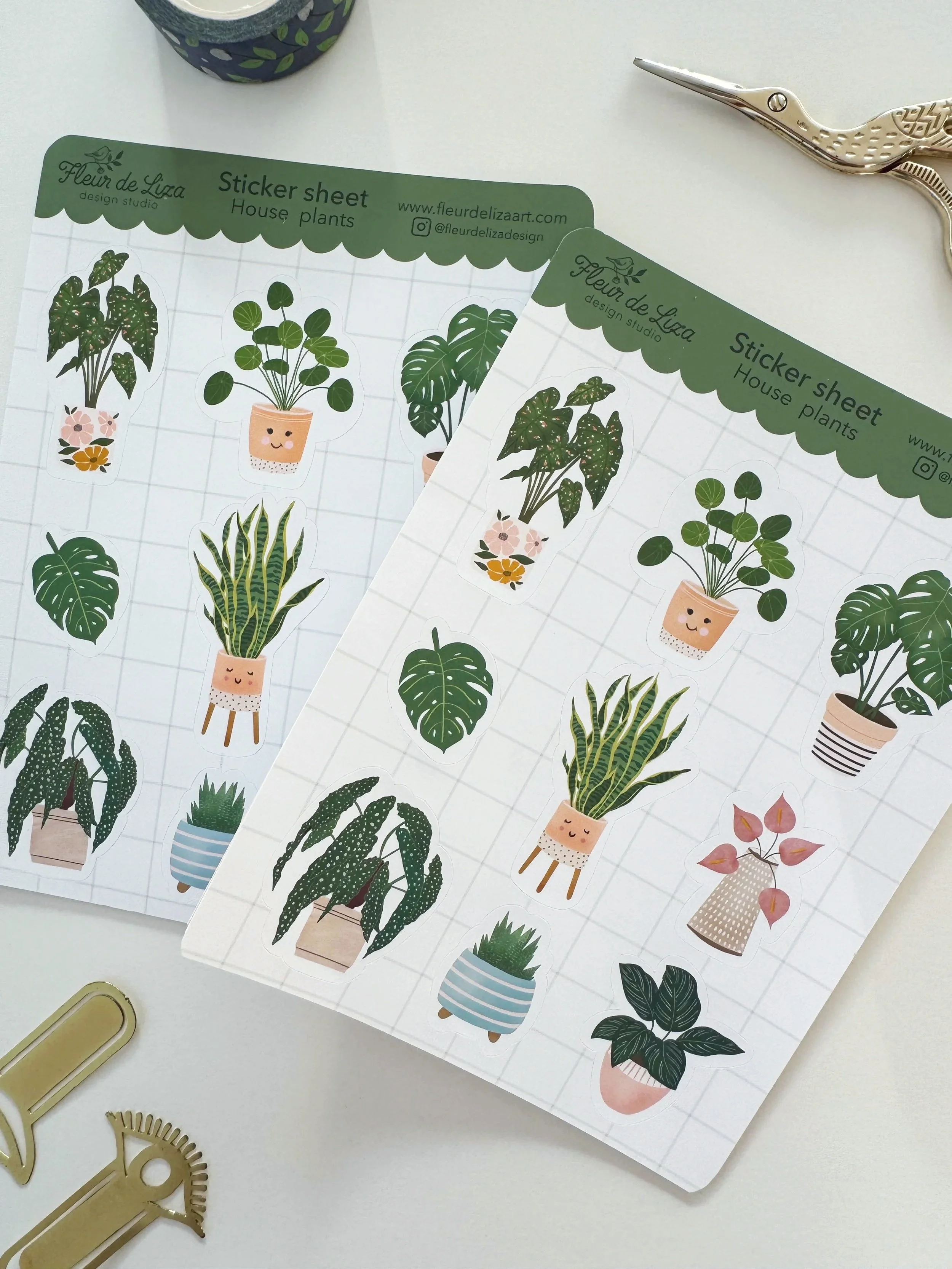 SS-houseplants2.jpg