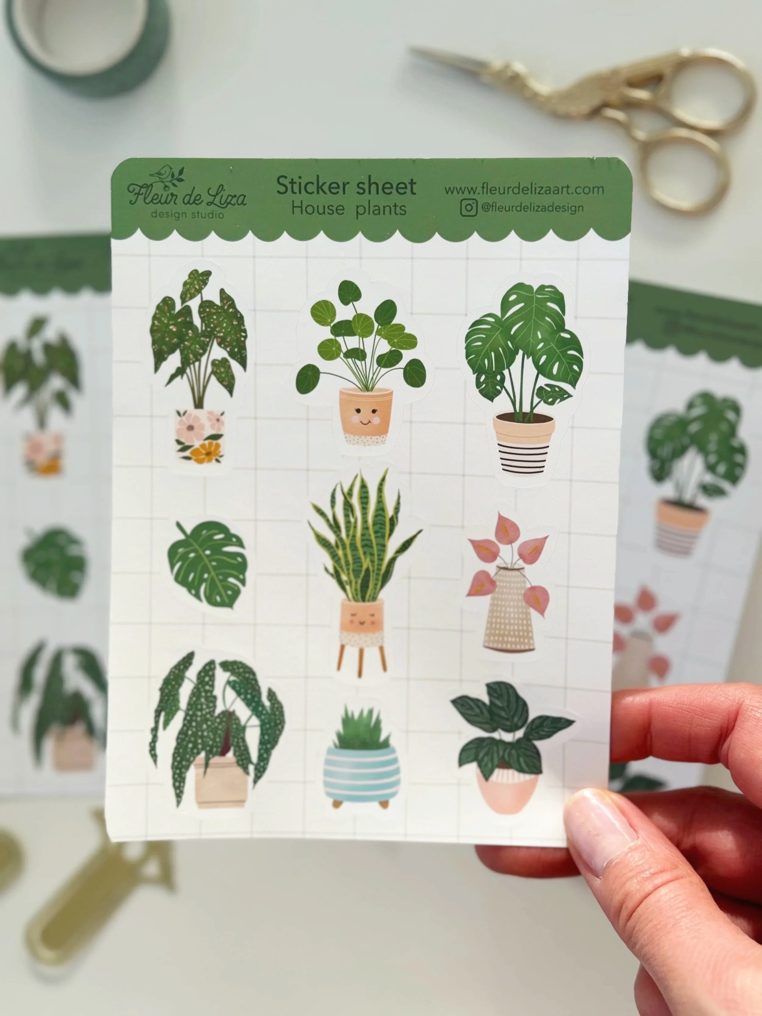 SS-houseplants4.jpg
