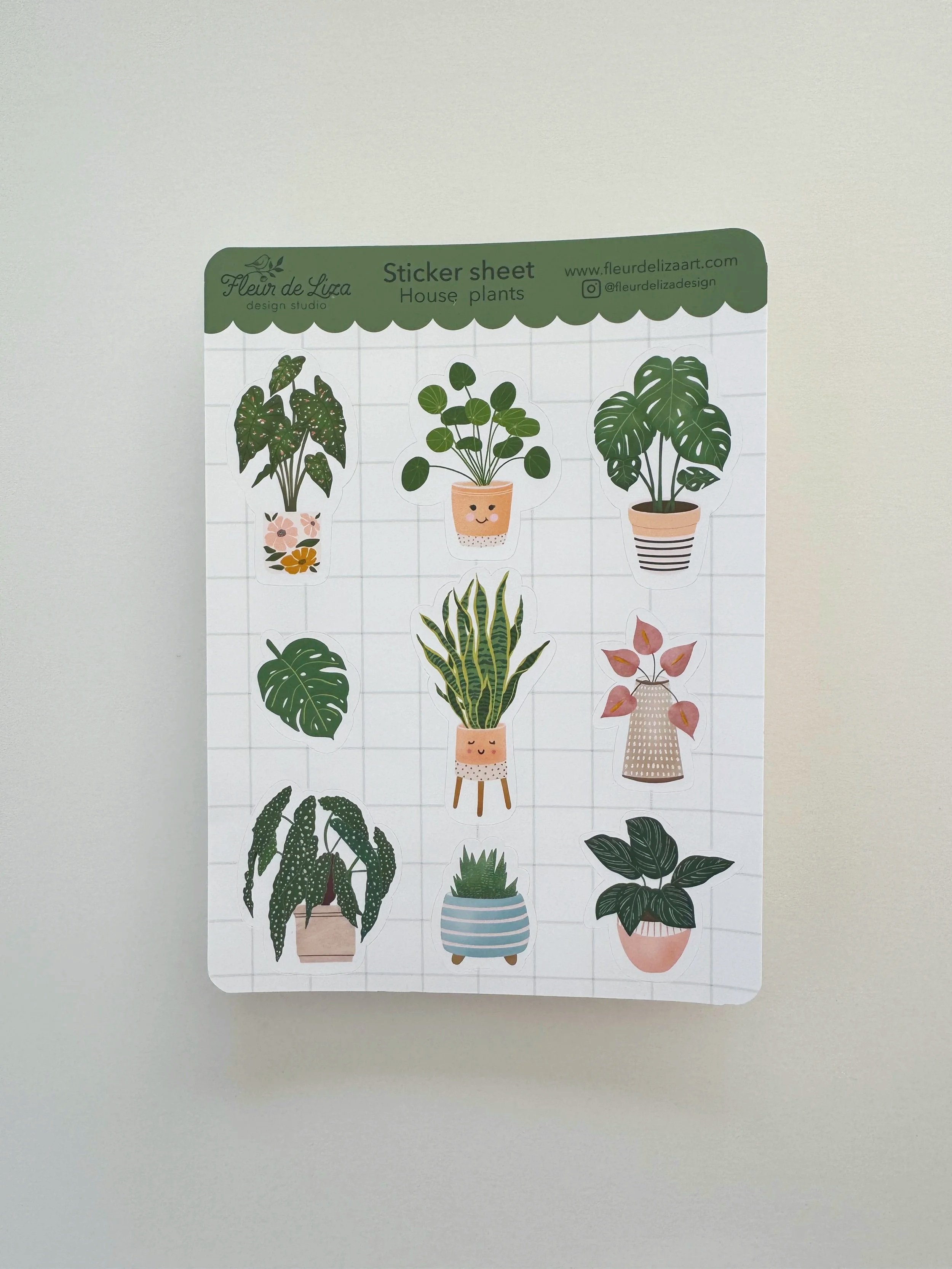 SS-Houseplants1.jpg