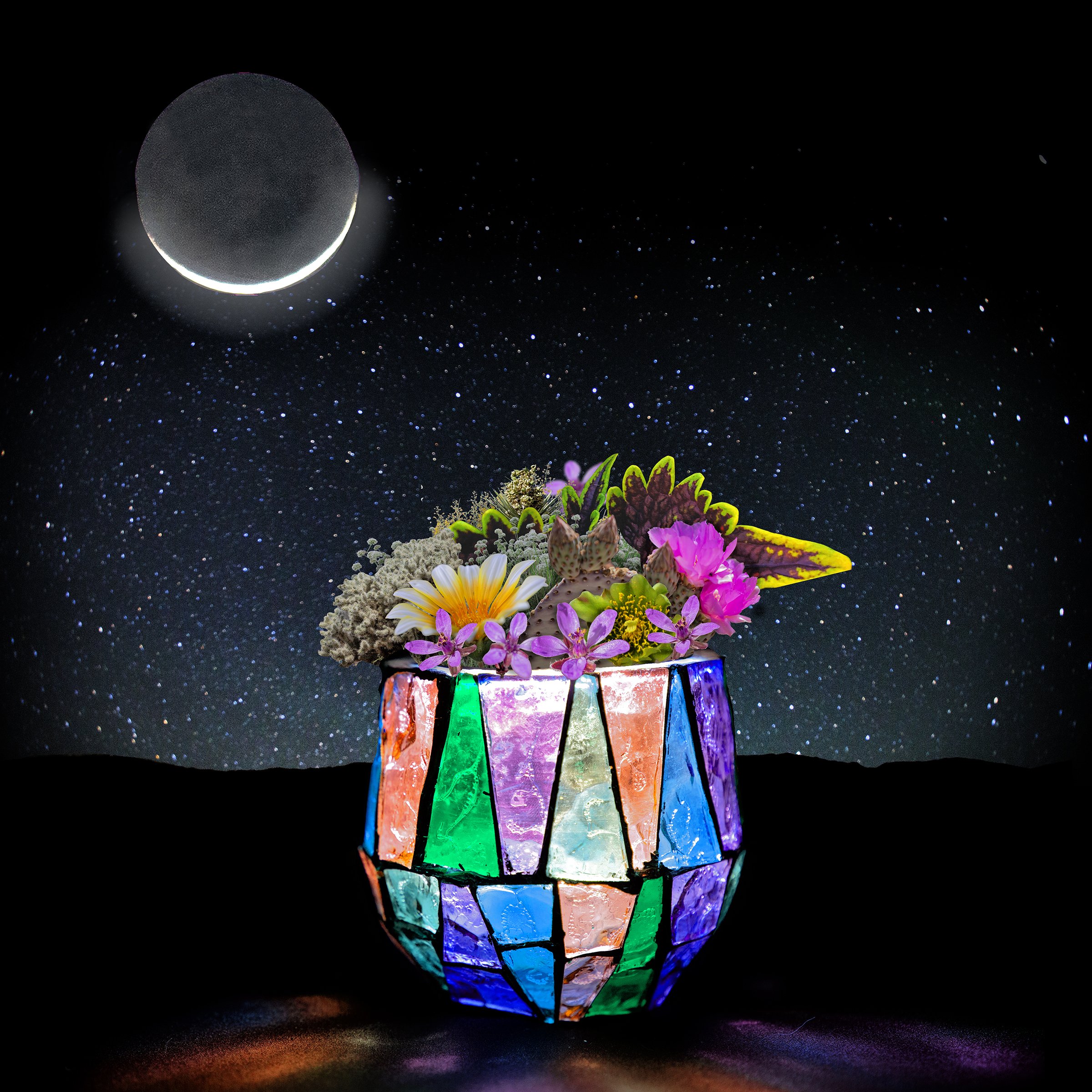 Bright Flowers