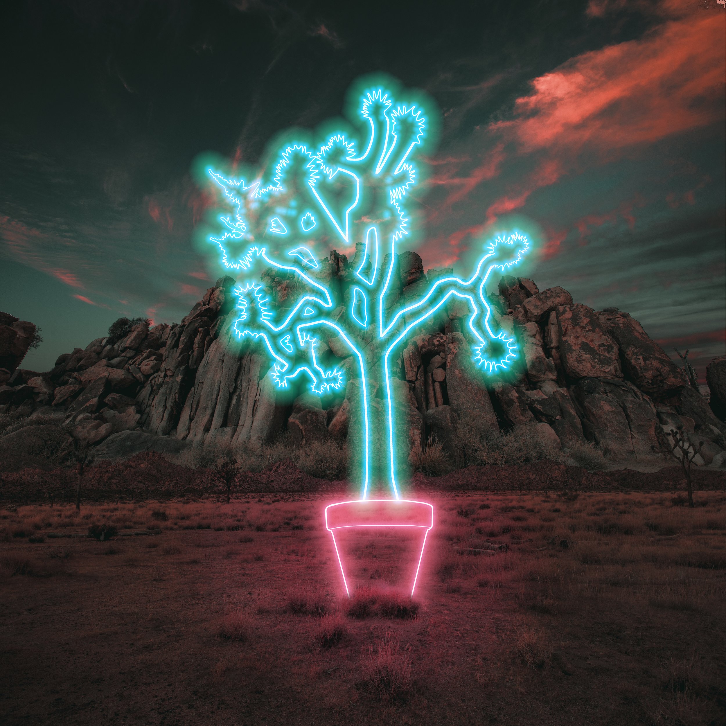 Neon Treet