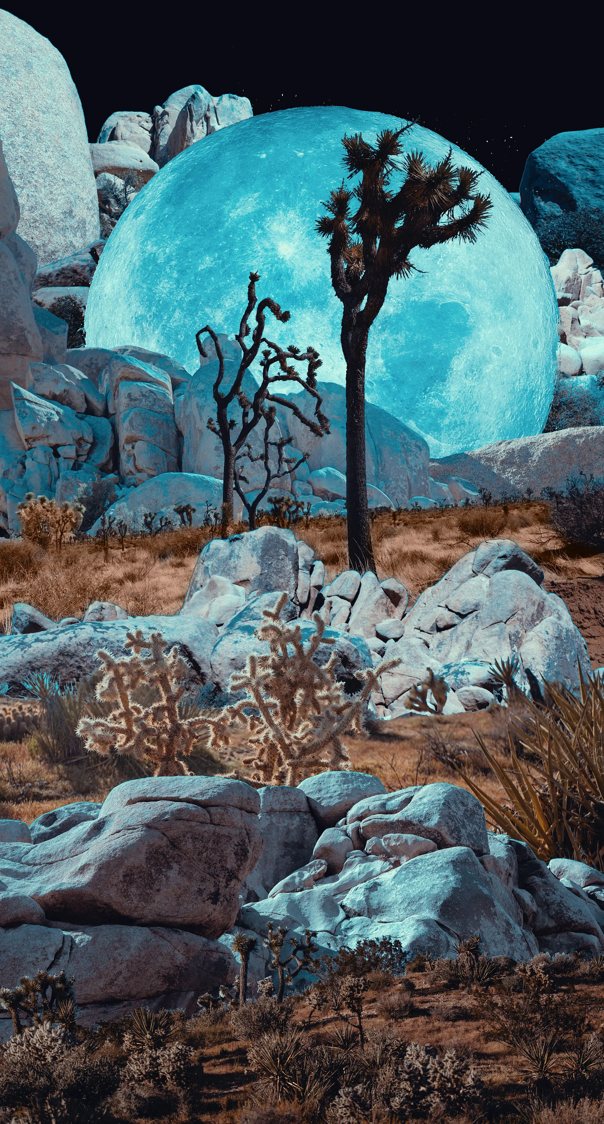Twice in a Blue Moon