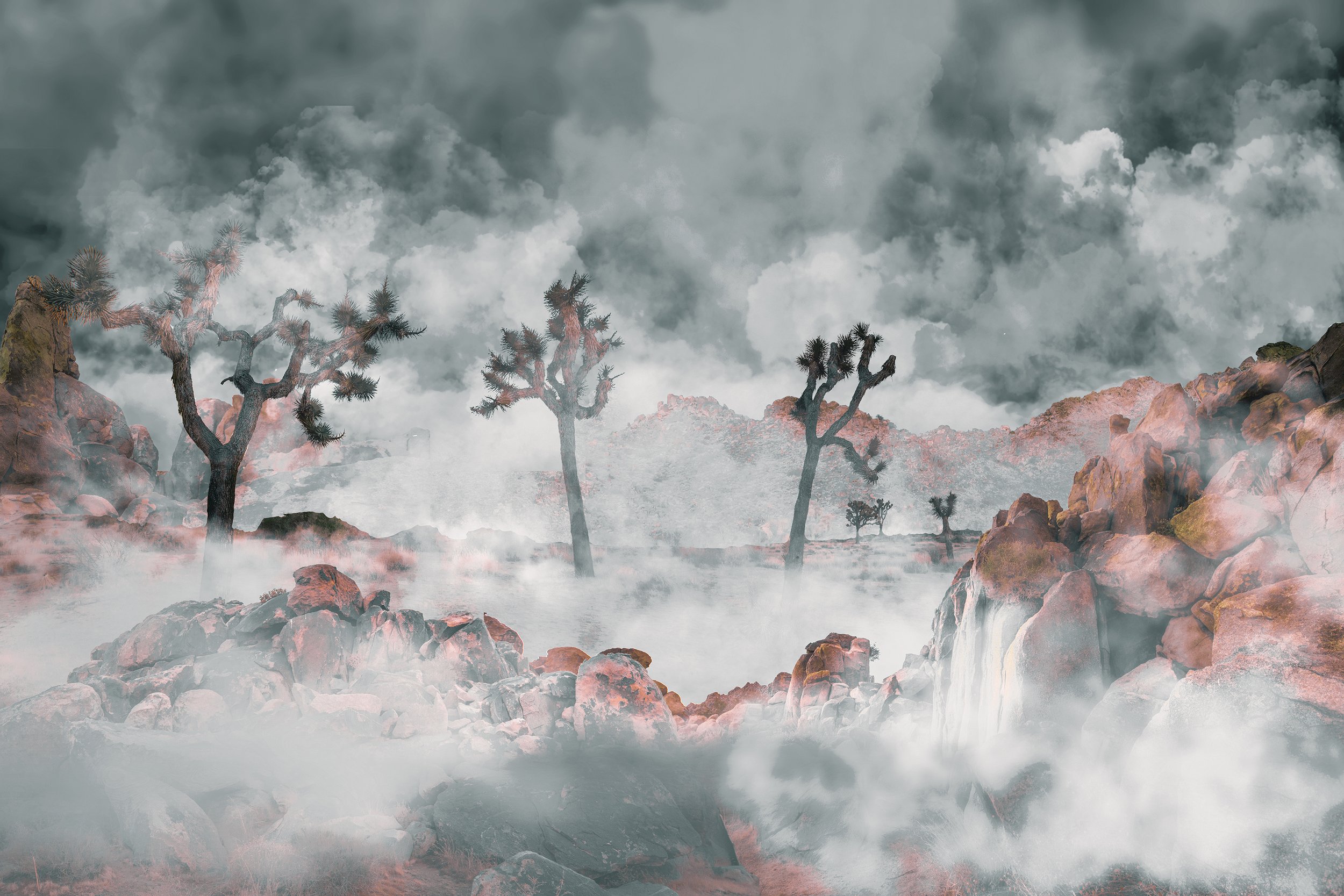 Foggy Desert
