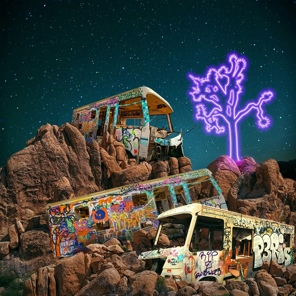Abandoned Buses