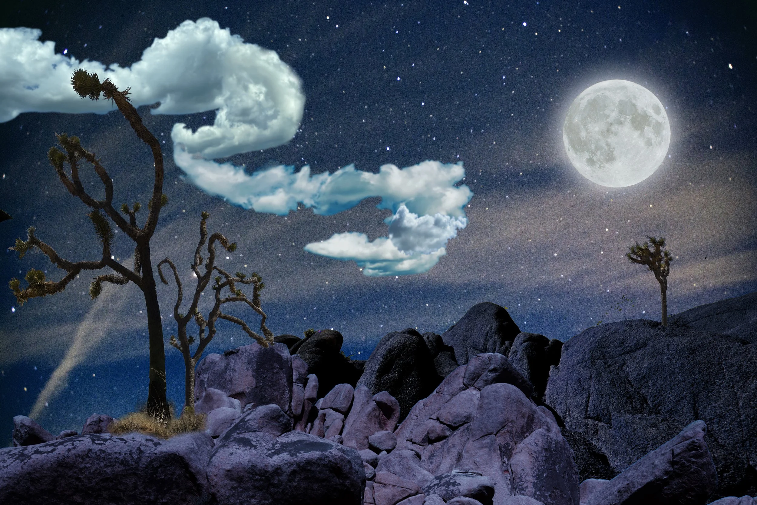 Starrry Night