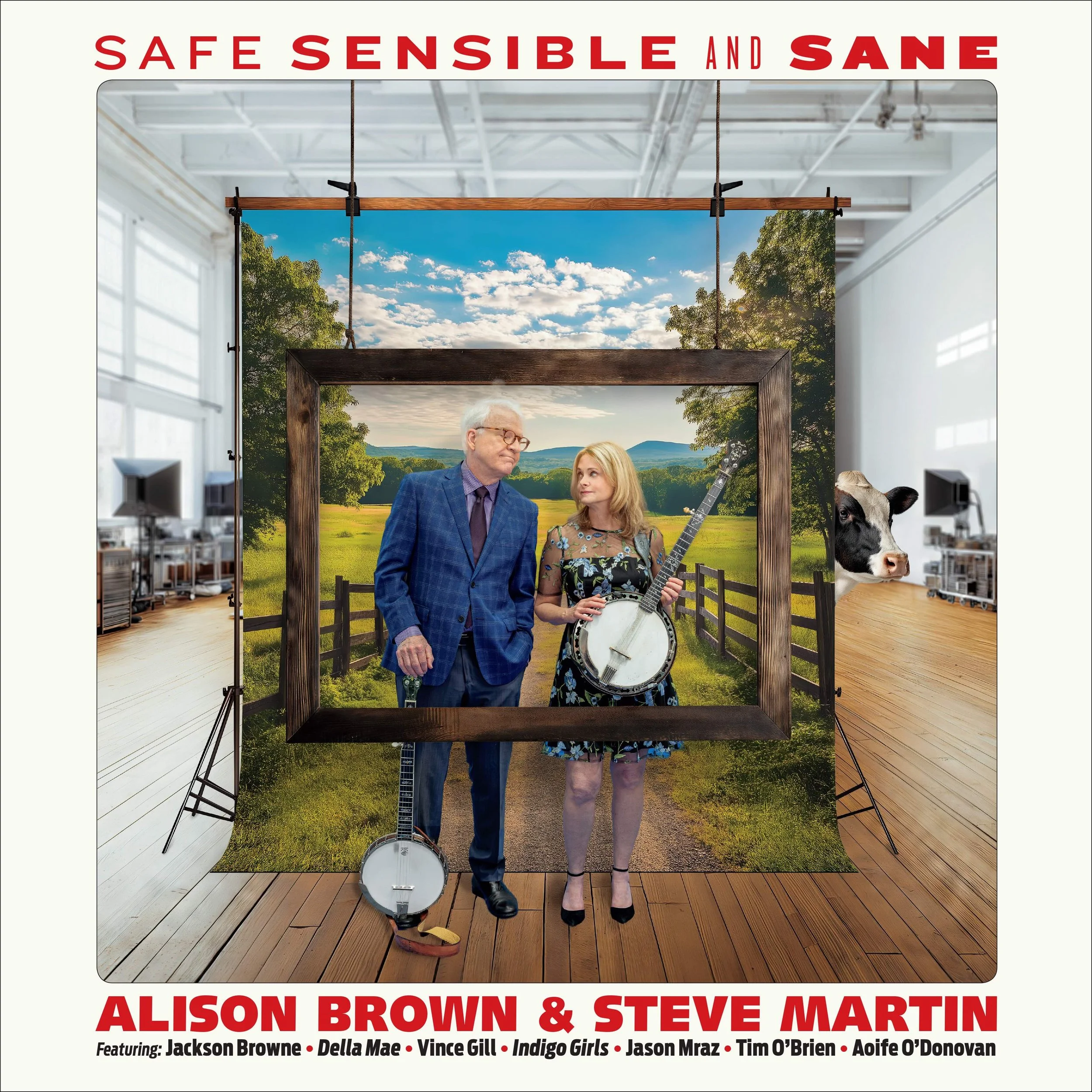 Safe-Sensible-Sane-Alison-Brown-Steve-Martin.jpg