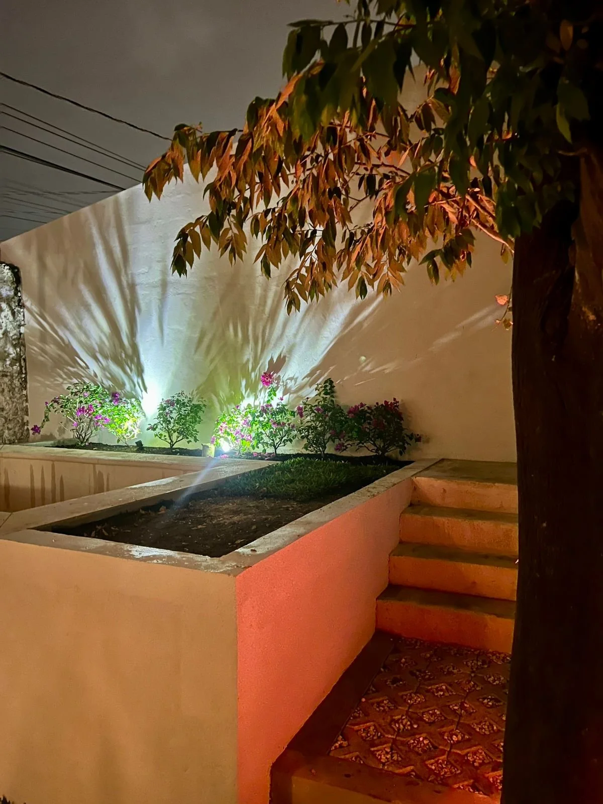 WhatsApp Image 2026-01-08 at 6.58.47 PM.jpeg