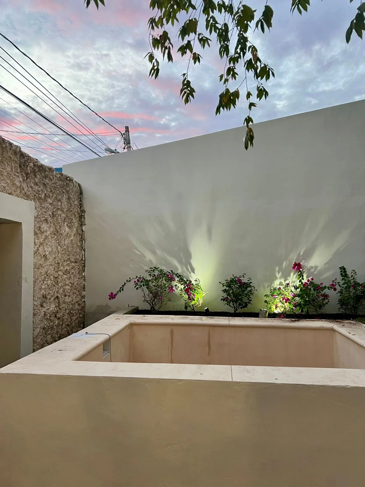 WhatsApp Image 2026-01-08 at 6.58.47 PM (1).jpeg