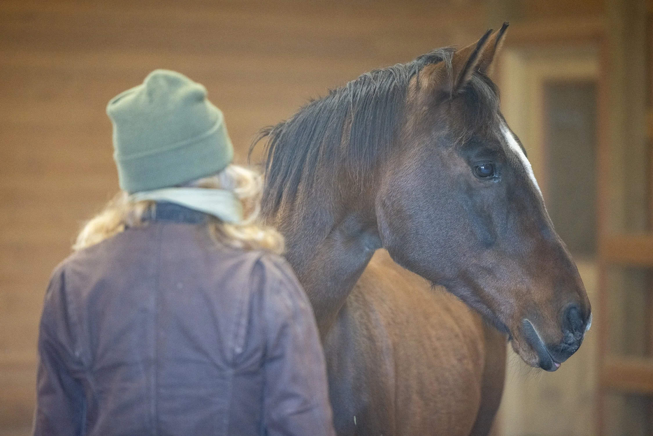 Intro Clinic - Pittsburgh, PA