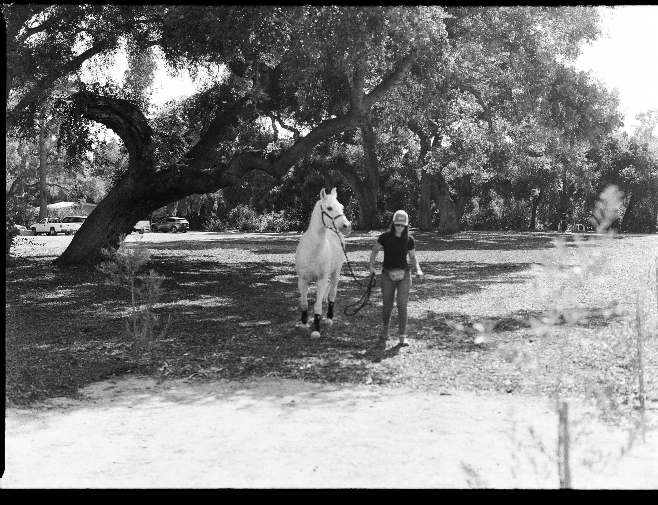 Intro Clinic Ojai, CA