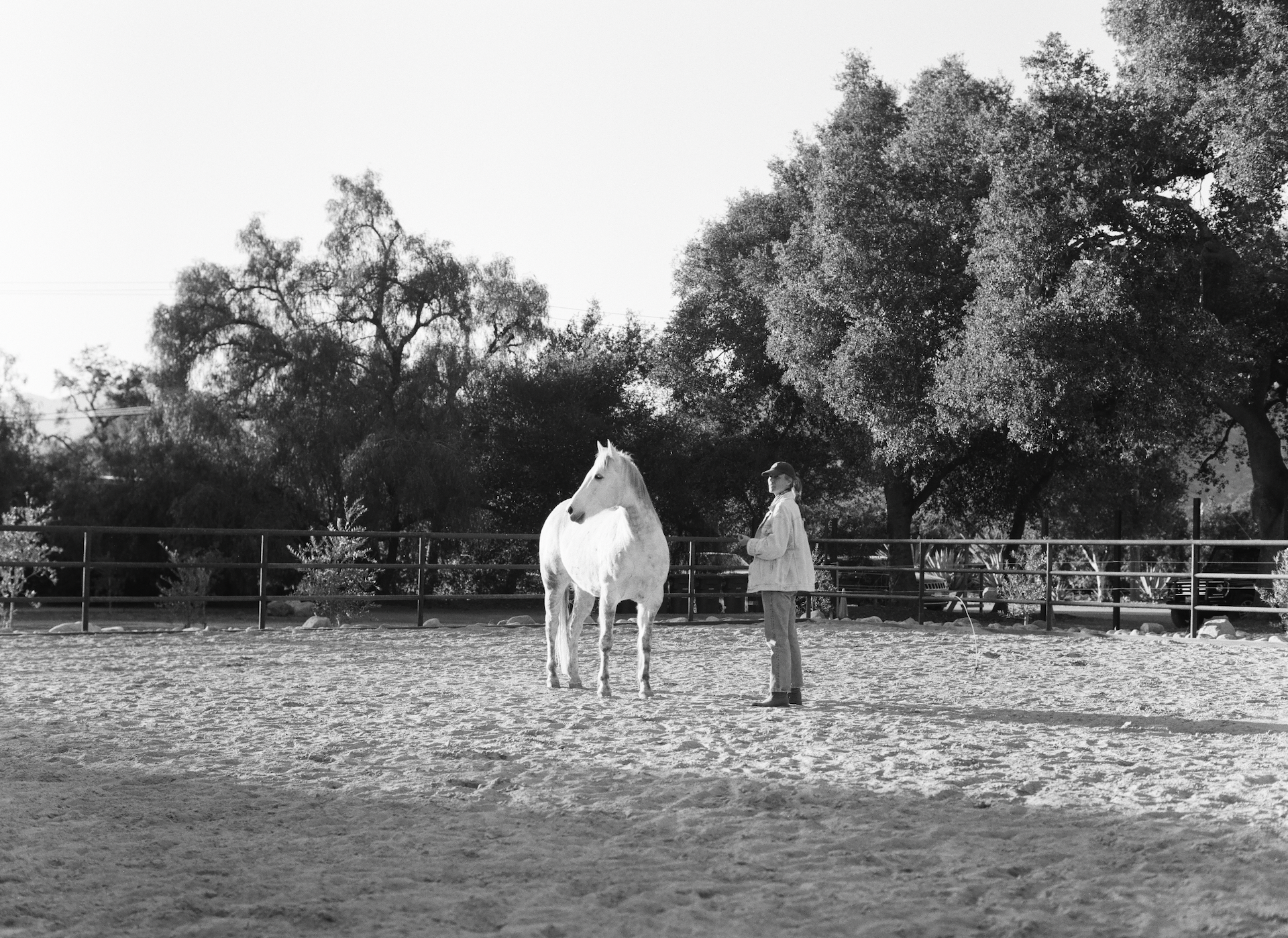 Screen Shot 2026-03-16 at 7.19.38 PM.png