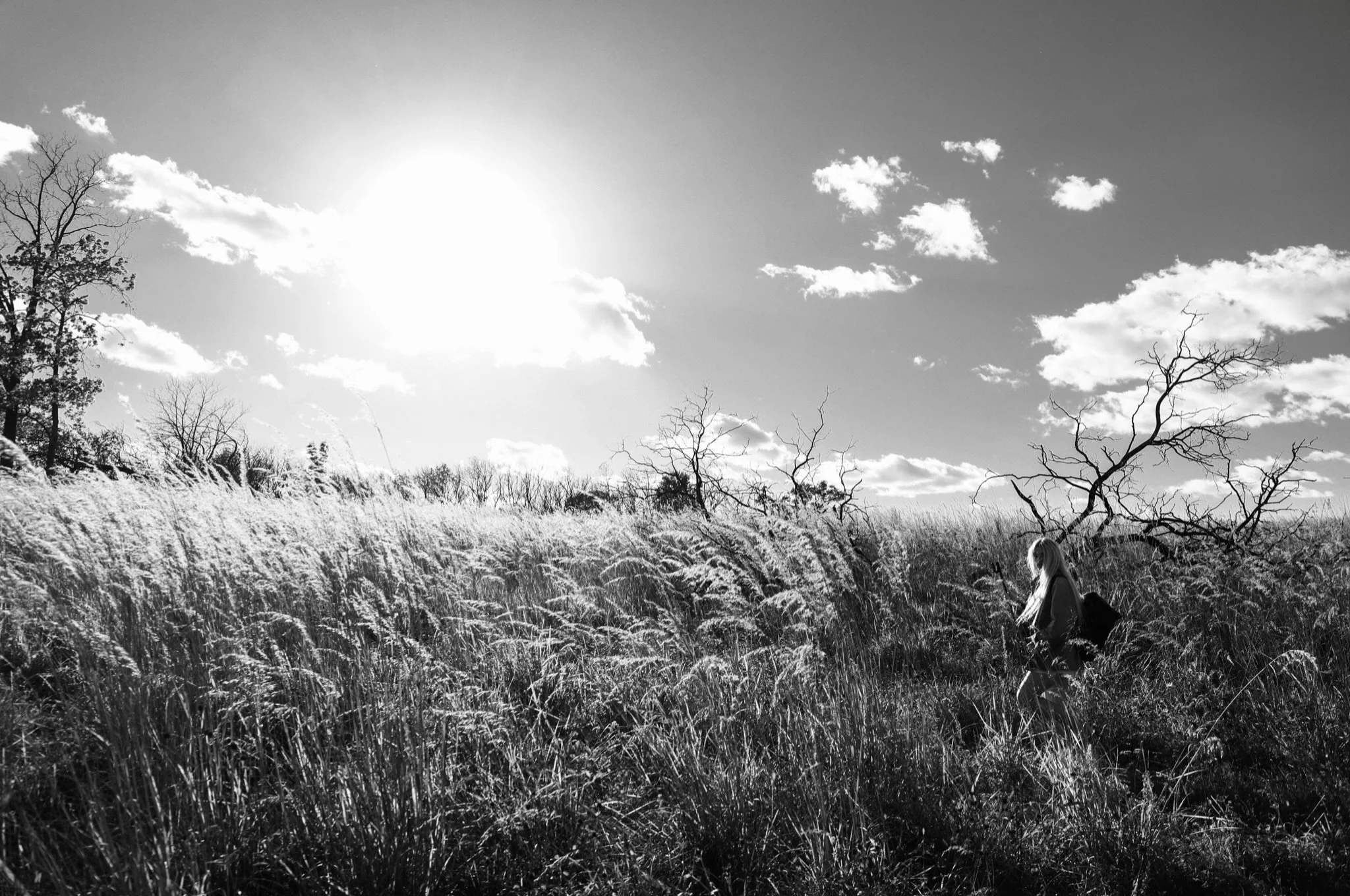 My favorite shot from behind the scenes of @irenes.entropy PTSD music video 🌾