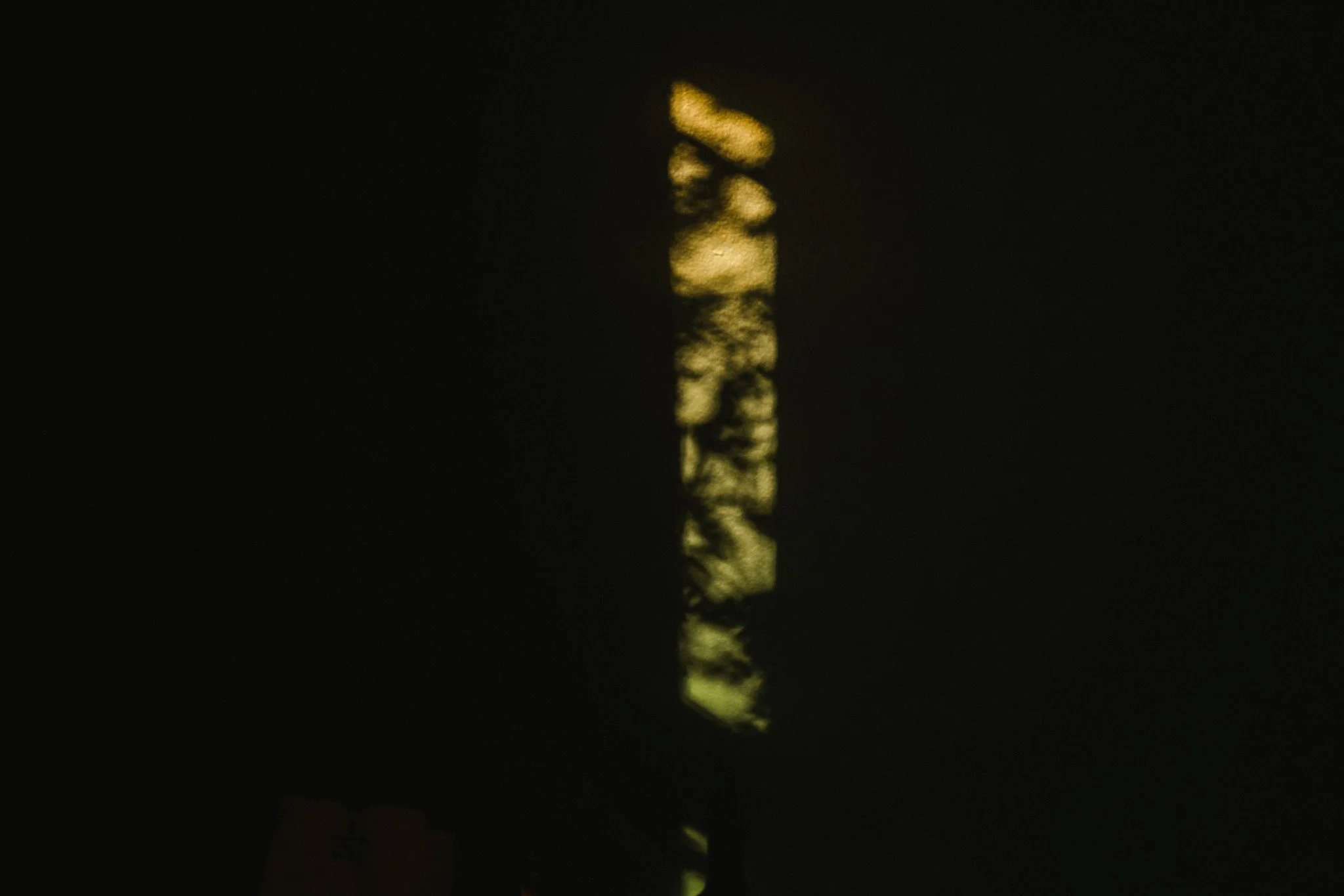3A7A0584.jpg