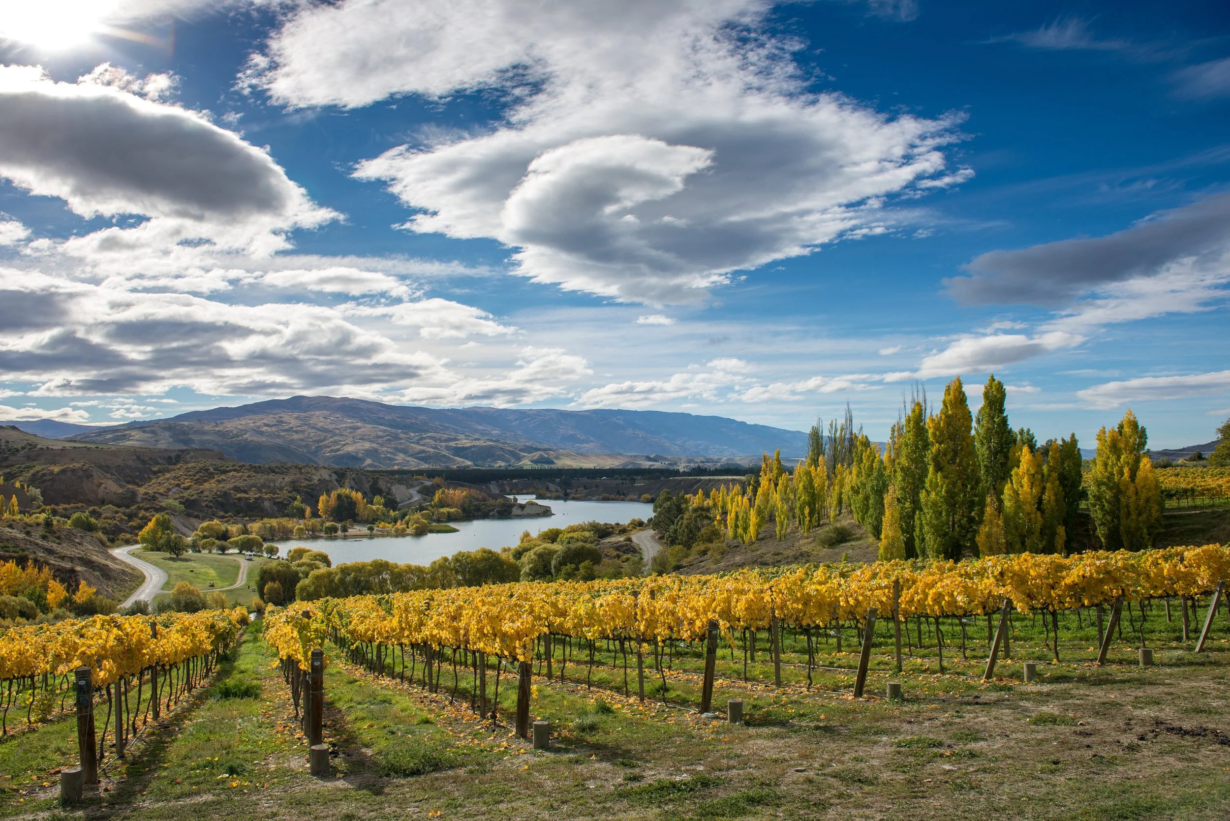 New Zealand