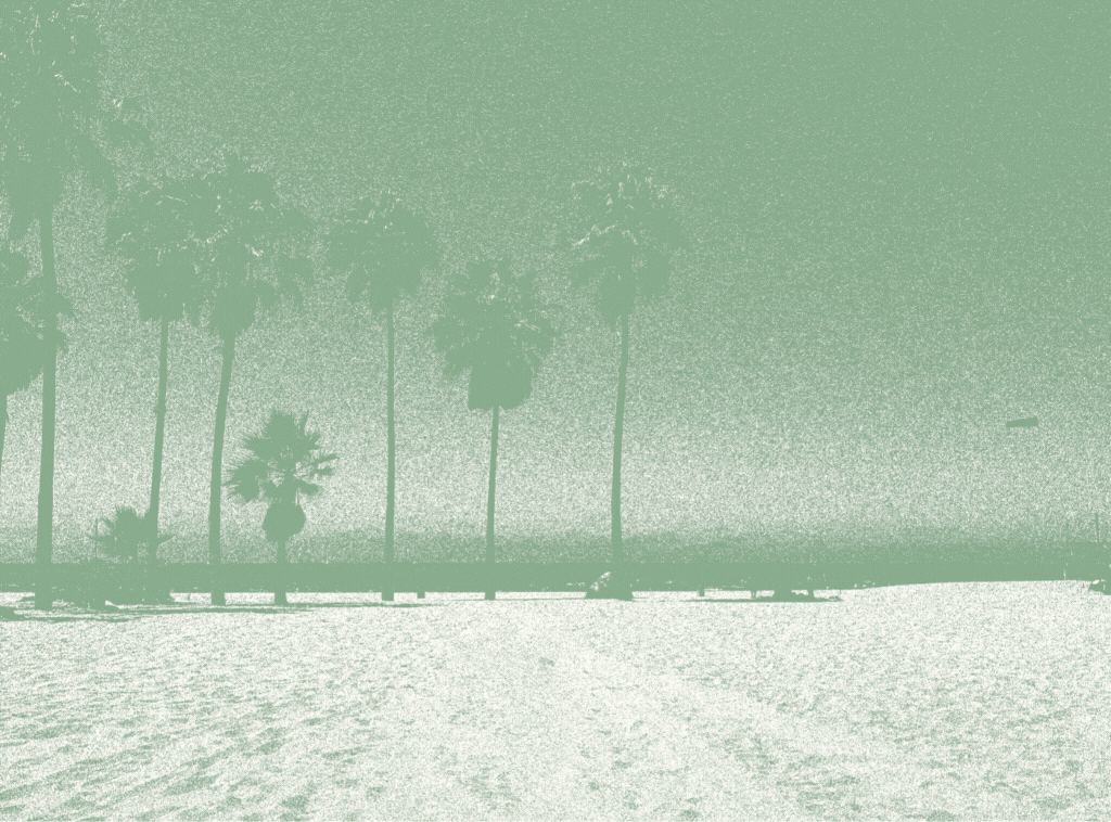 Palms n' Patties