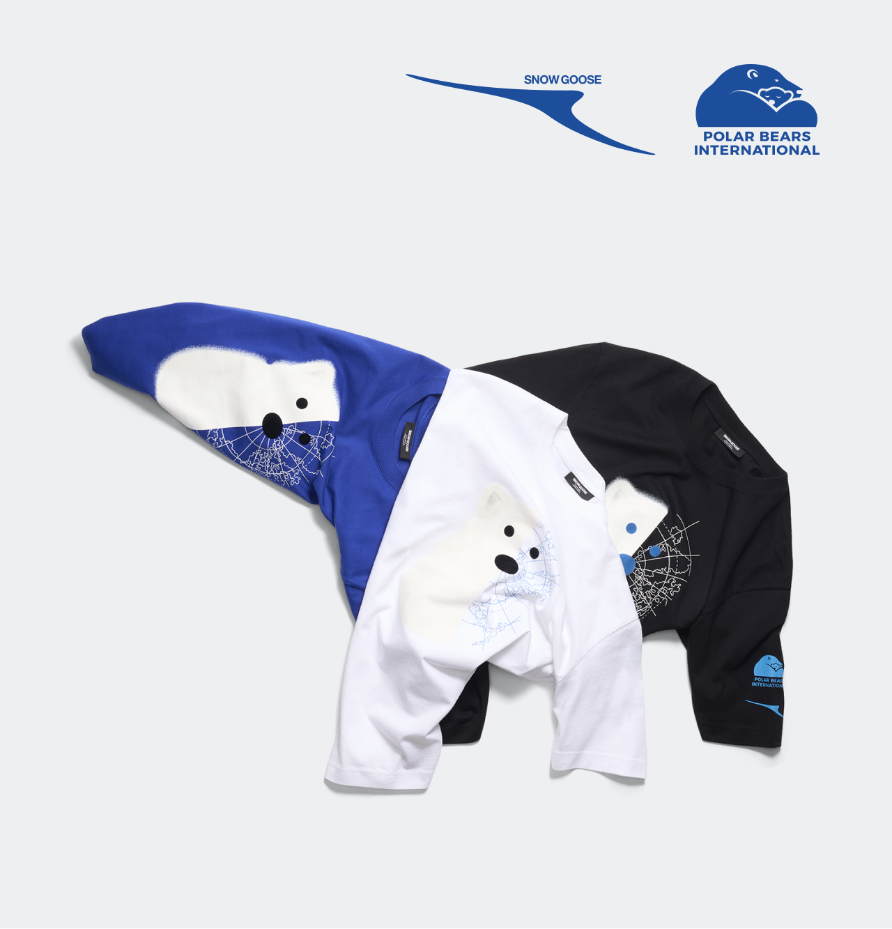 International Polar Bear Day for Canada Goose