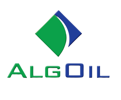 AlgOil logo with green and blue geometric shapes