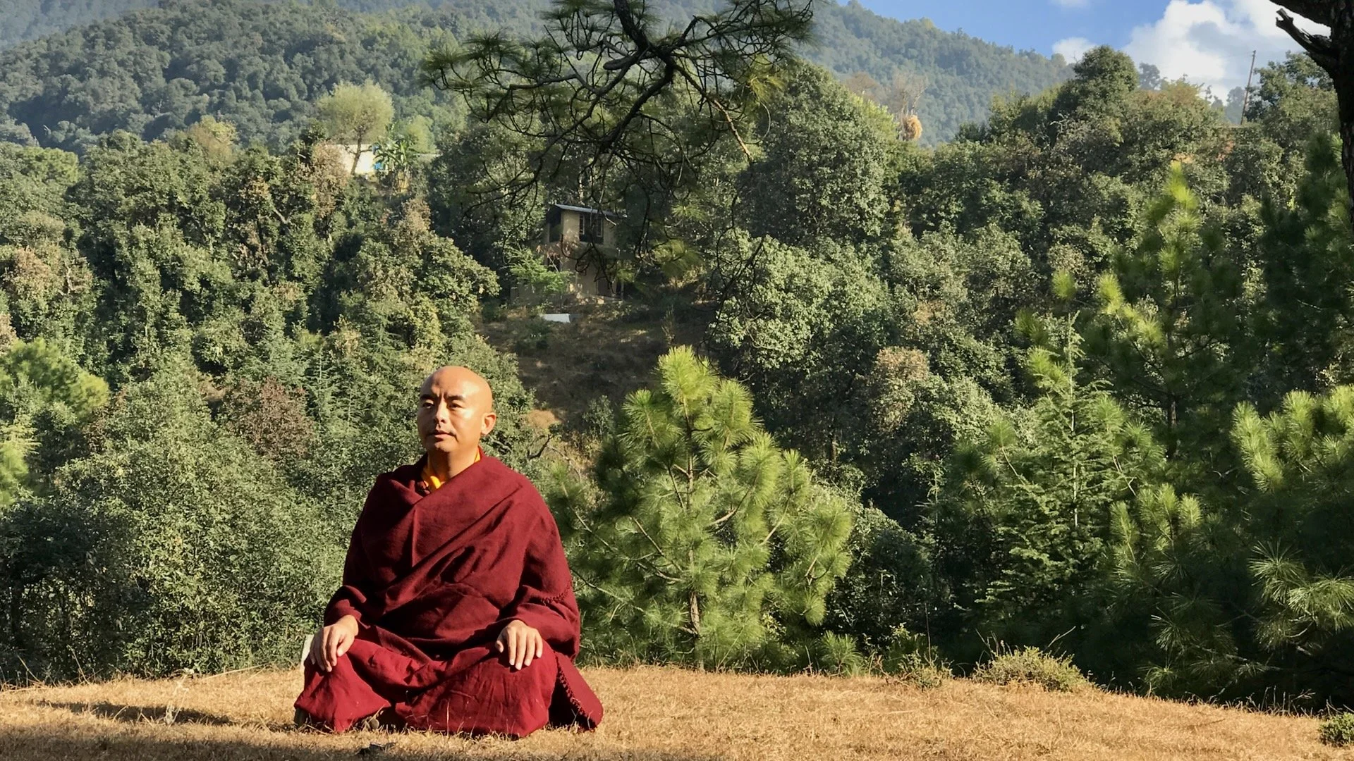 Tergar International Meditation Videos