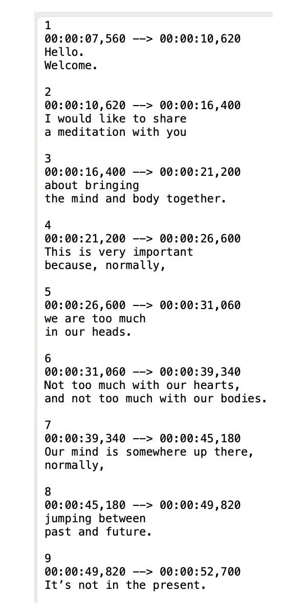 Subtitles from Mingyur Rinpoche meditation video