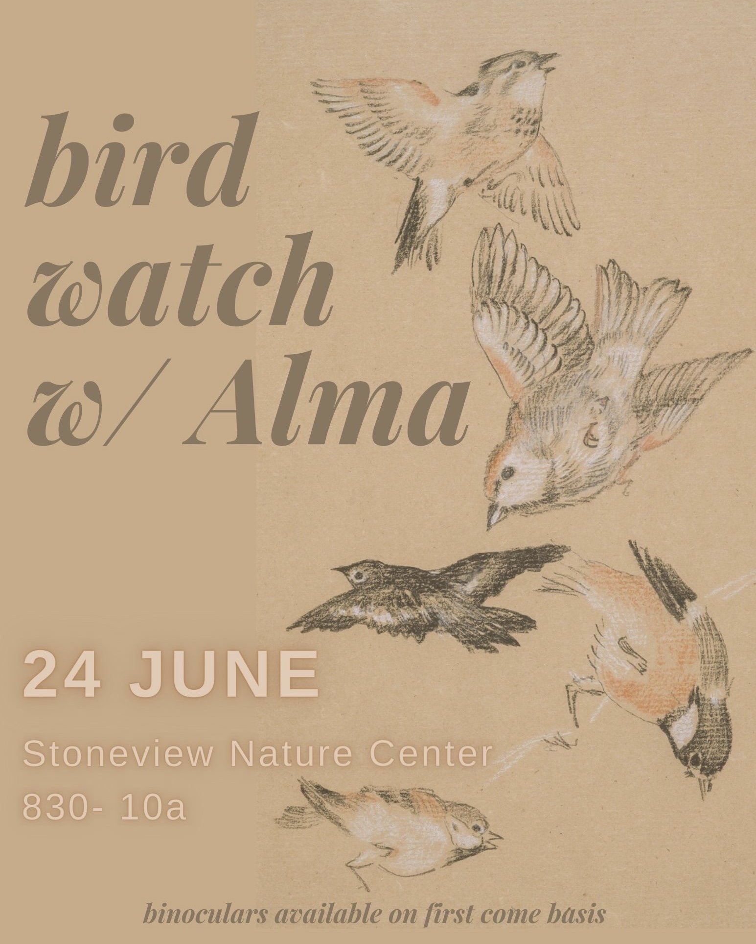 BirdWatchAlmaJune2023.jpeg
